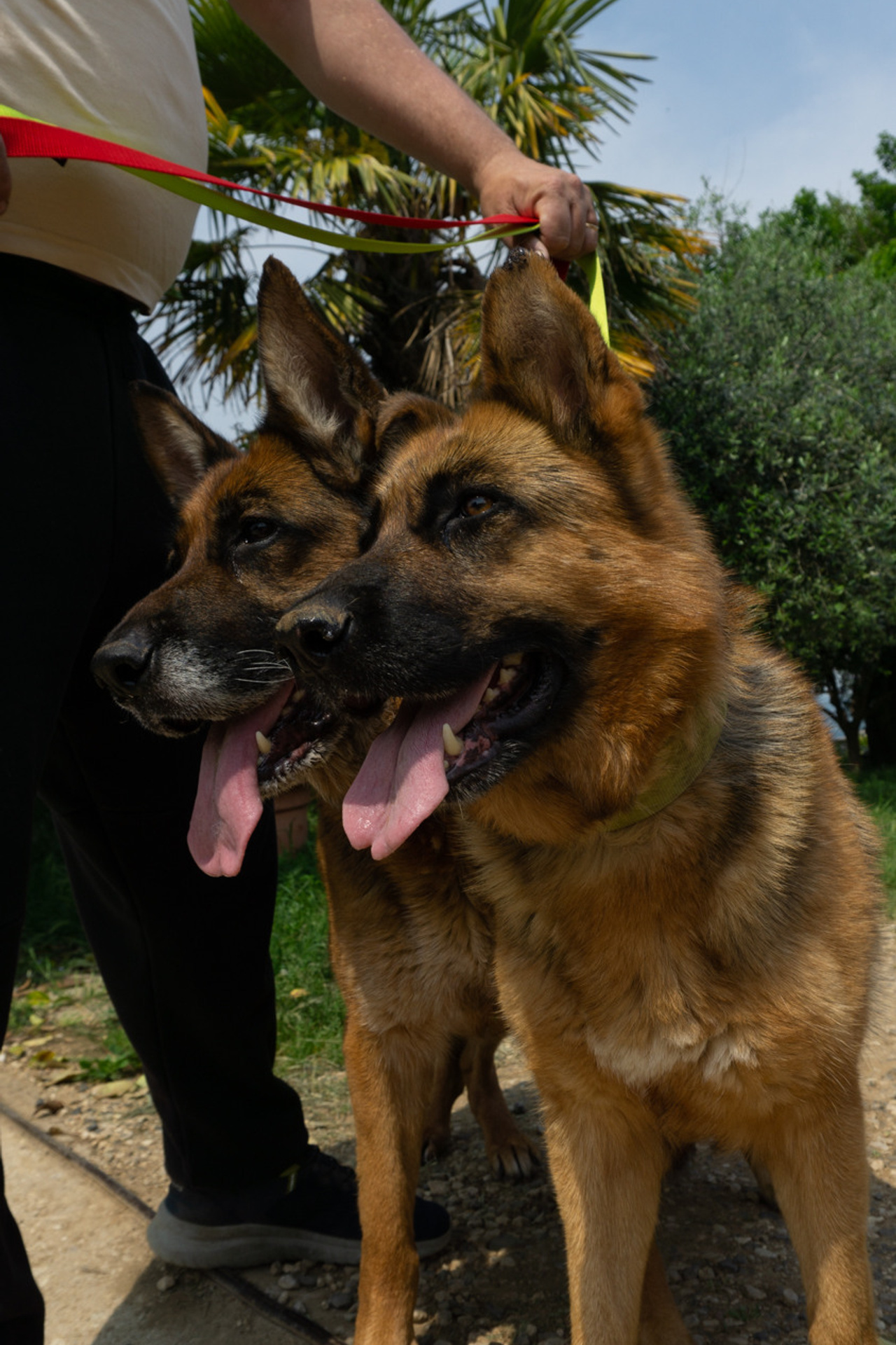 Reviews e Testimonianze @pushinaweb. Foto ritratti spettacolari, fotografo di famiglia a Verona, Vicenza, Venezia e Padova