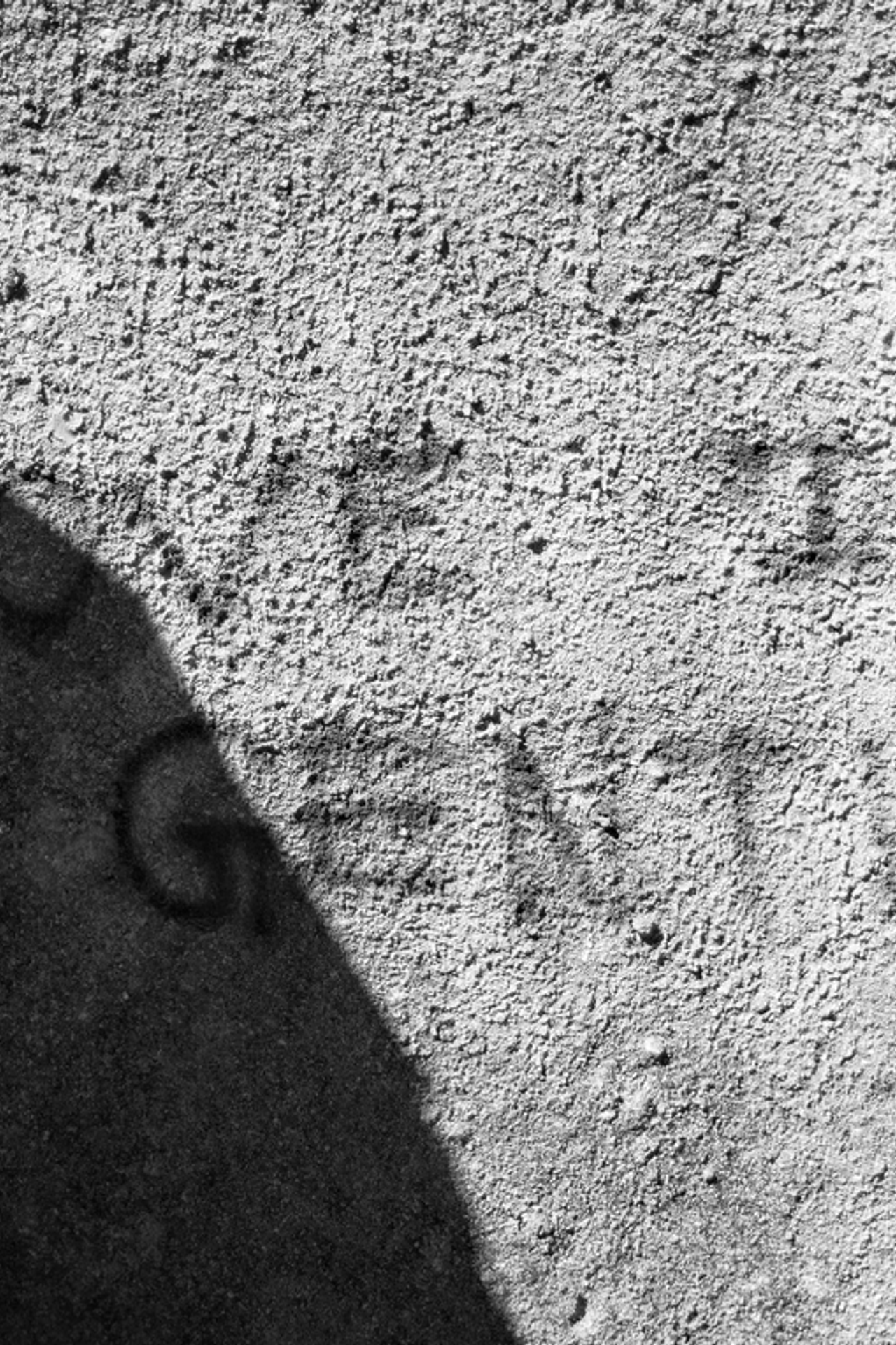 Histórias por trás de cada clique. Fotógrafo em Aveiro Portugal Peterson Vieira