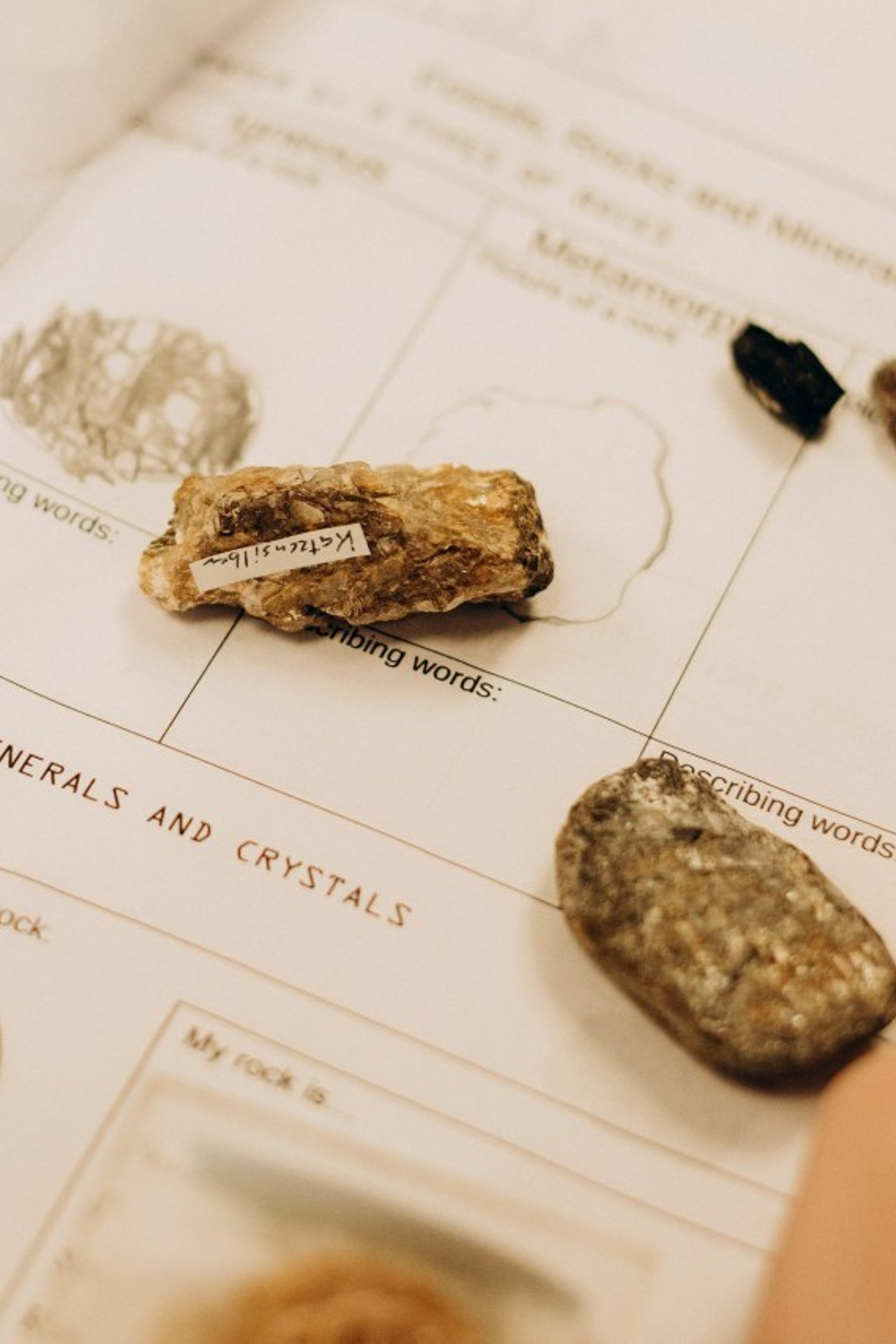 Testimonials. Wedding and family photographer in Calgary Kate Beliaeva