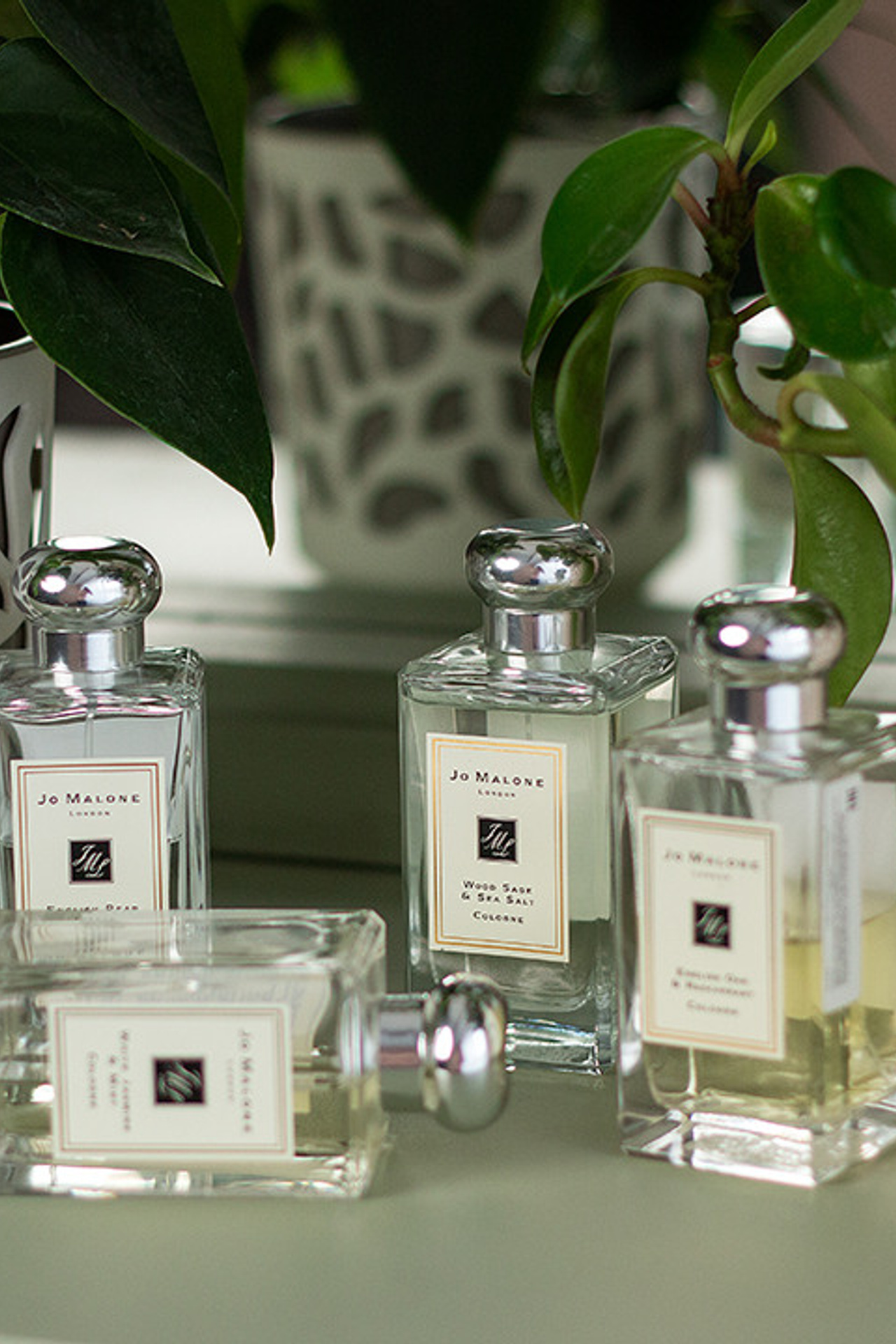 Portfolio Svetlana Vidru Fotografin Speyer. Svetlana Vidru Fotograf aus Speyer und Germersheim