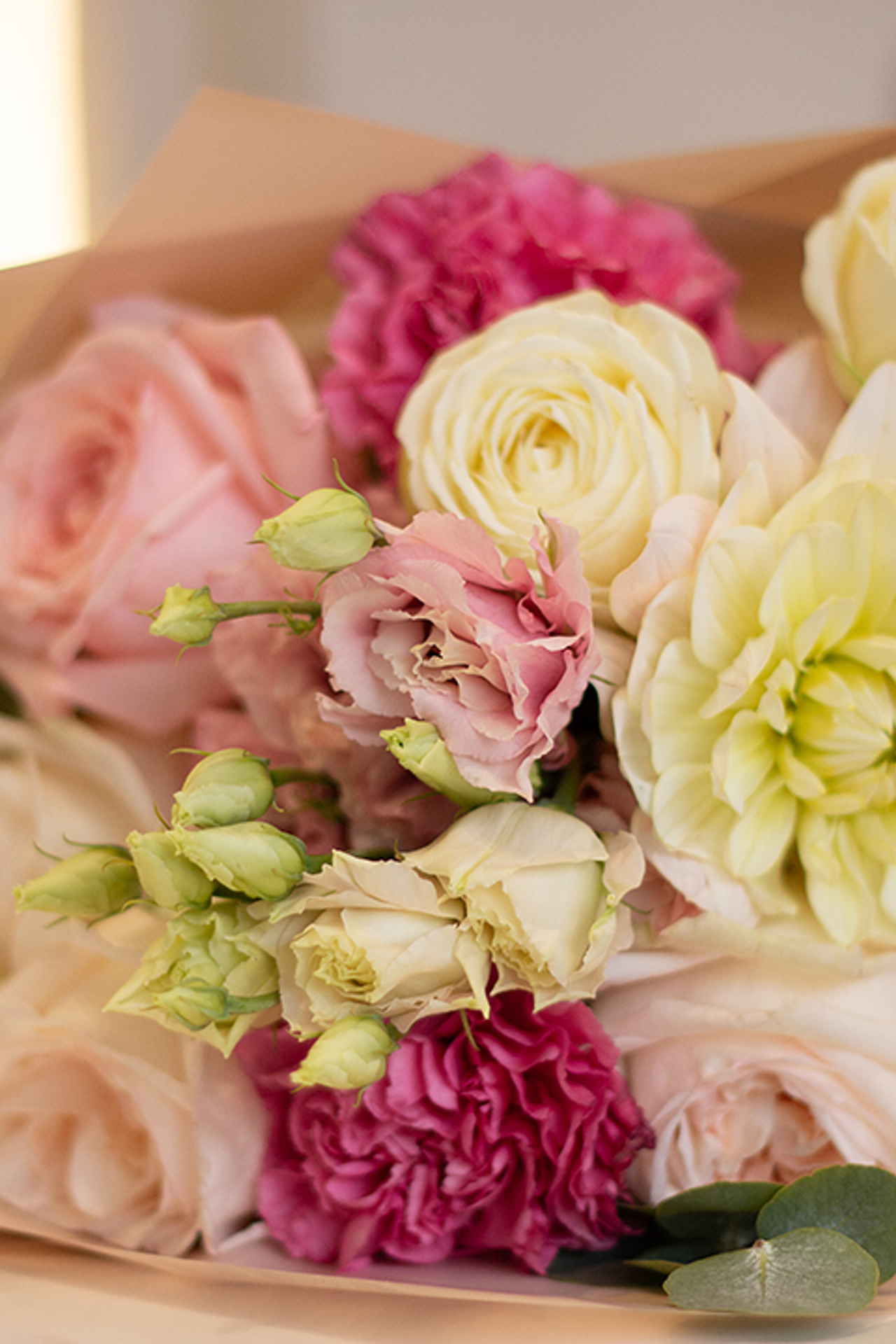 Portfolio Svetlana Vidru Fotografin Speyer. Svetlana Vidru Fotograf aus Speyer und Germersheim