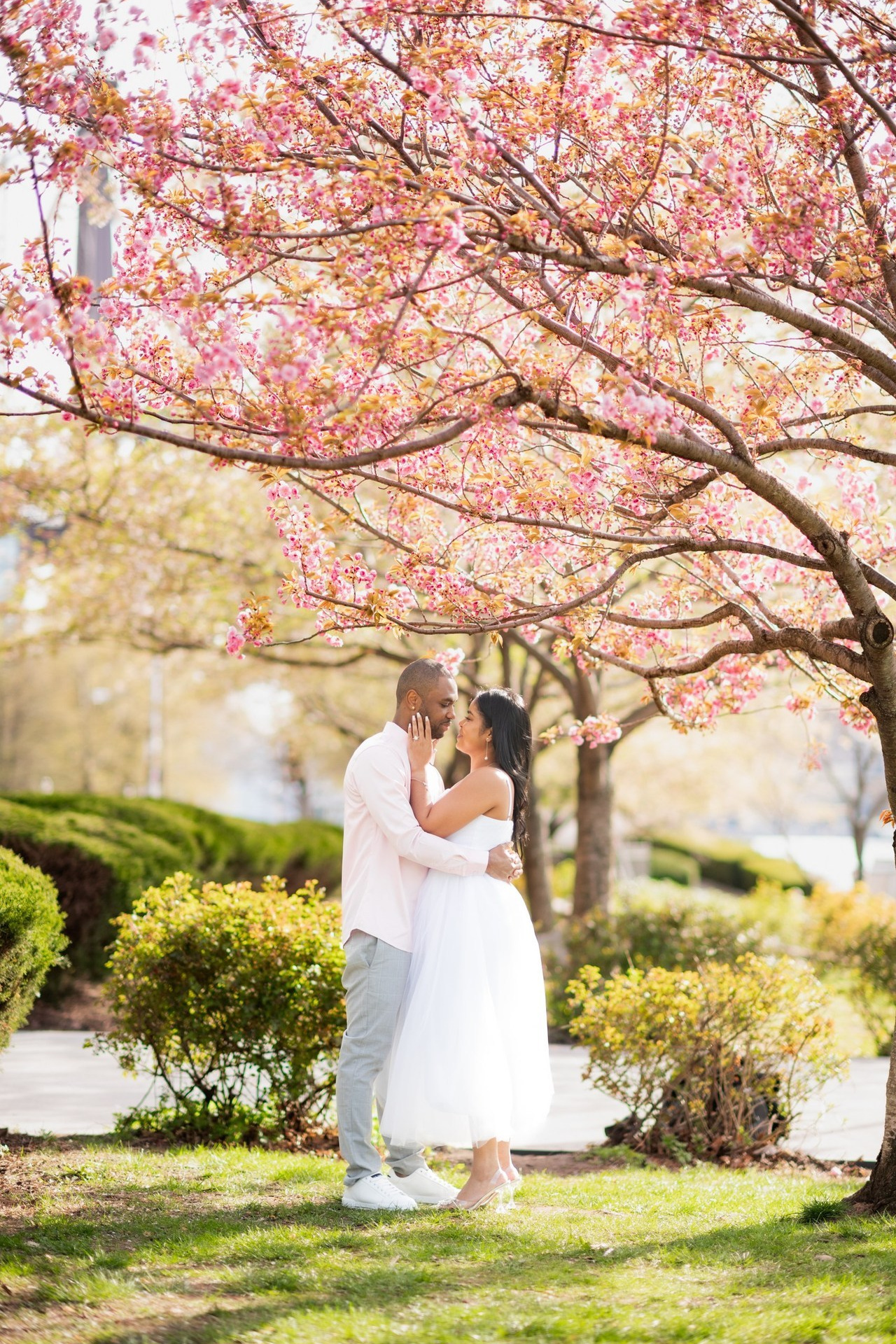 Vacation photo tour reviews