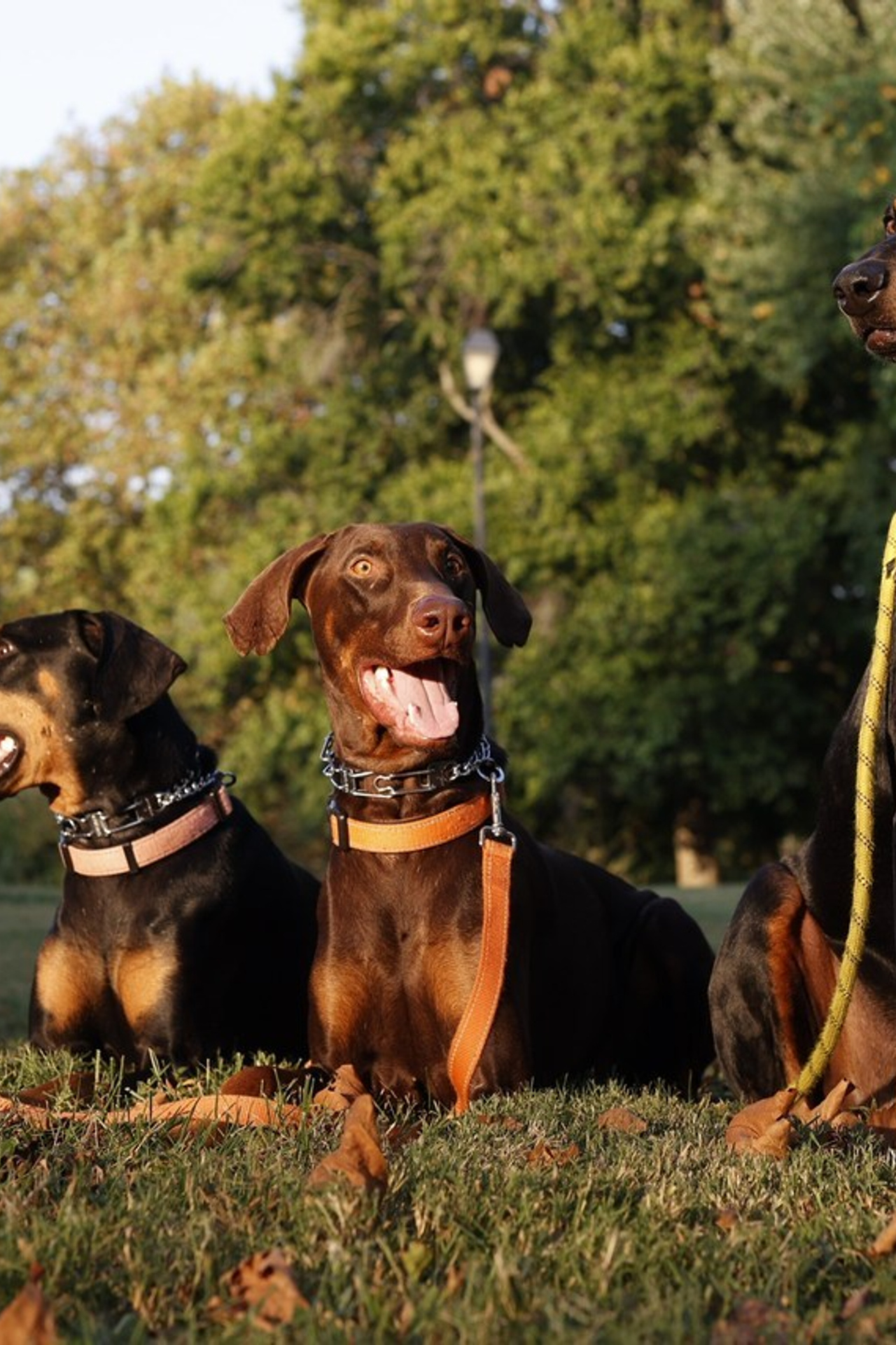 Kind words. Portrait and graduation photographer Marina Simanava