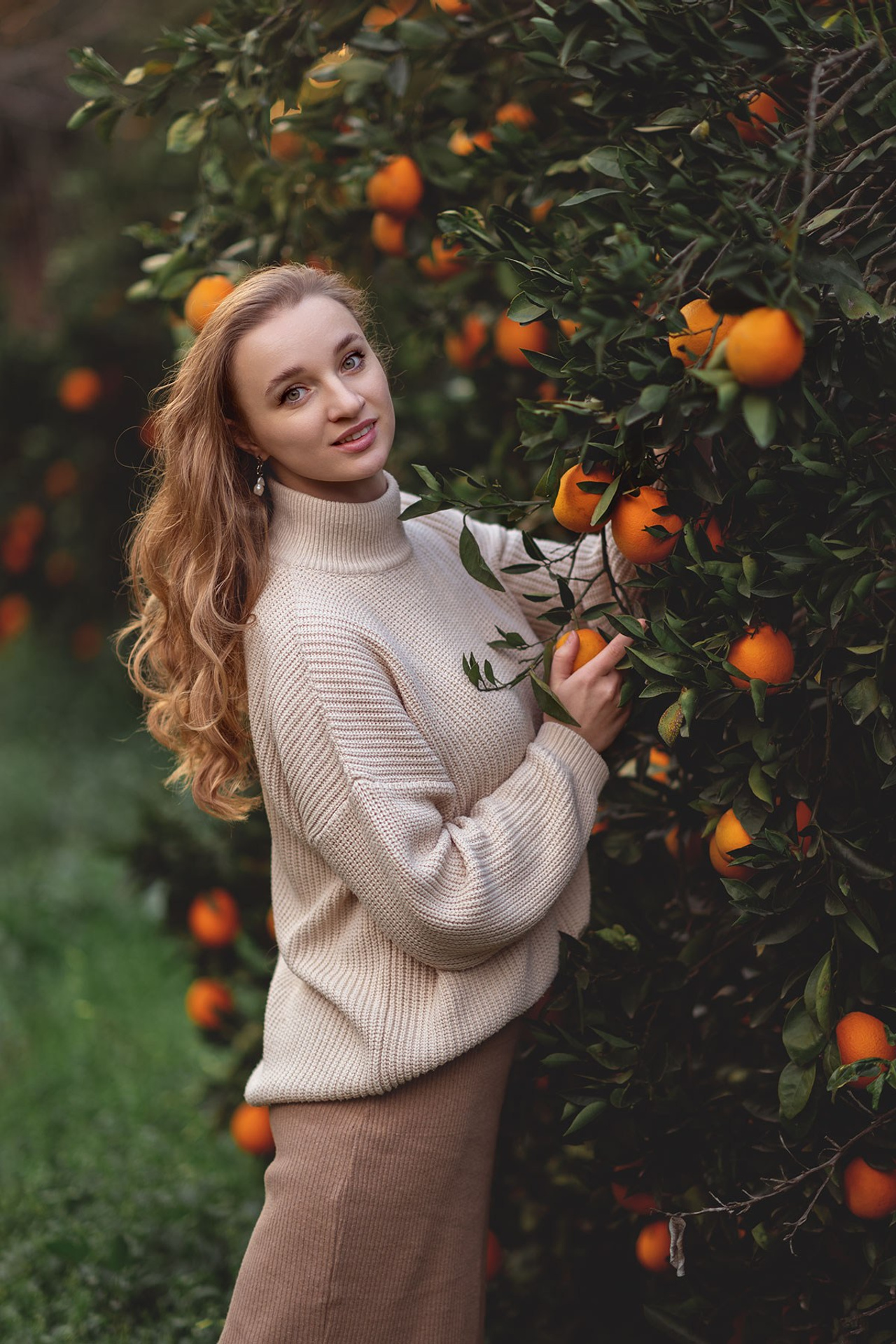 Апельсиновый сад