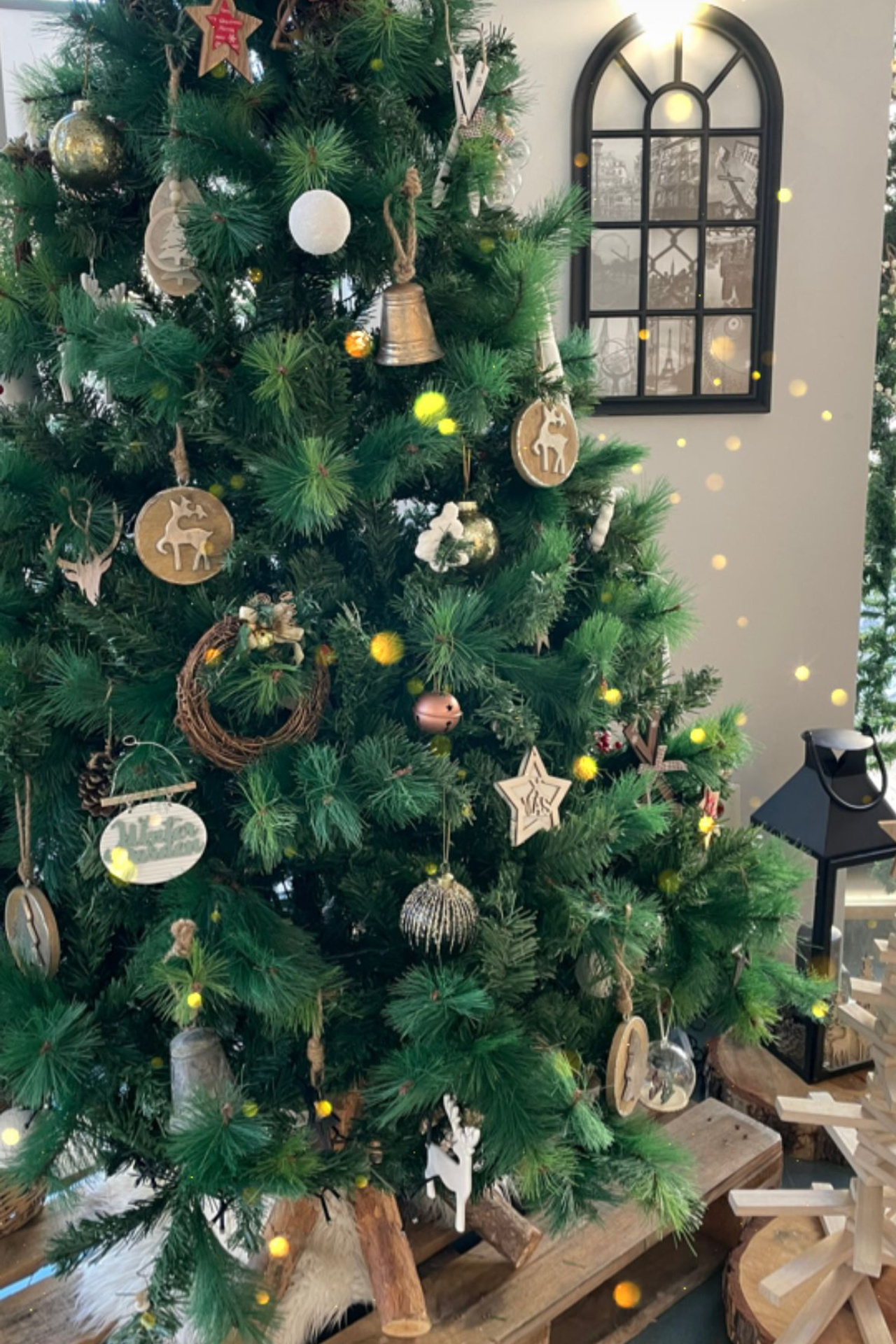 Amigos para siempre. Preboda Postboda