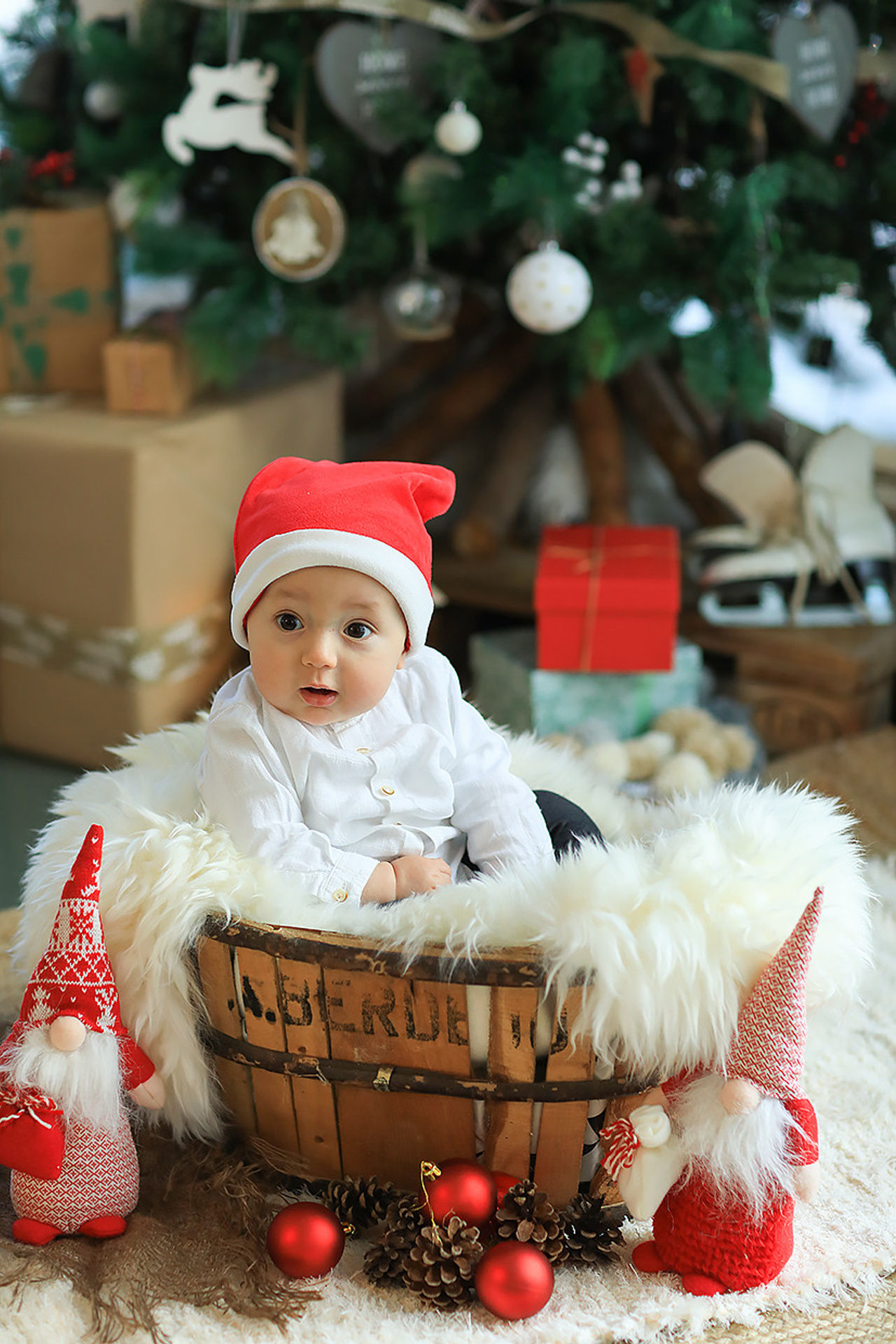 Amigos para siempre. Preboda Postboda