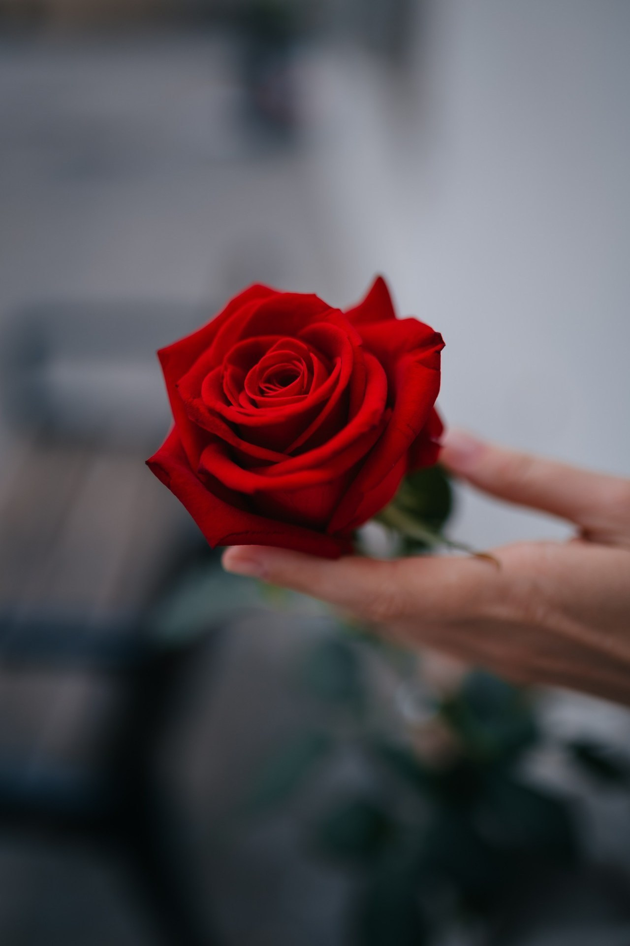 Отзывы. Документальный фотограф в Израиле Кристина Зингер