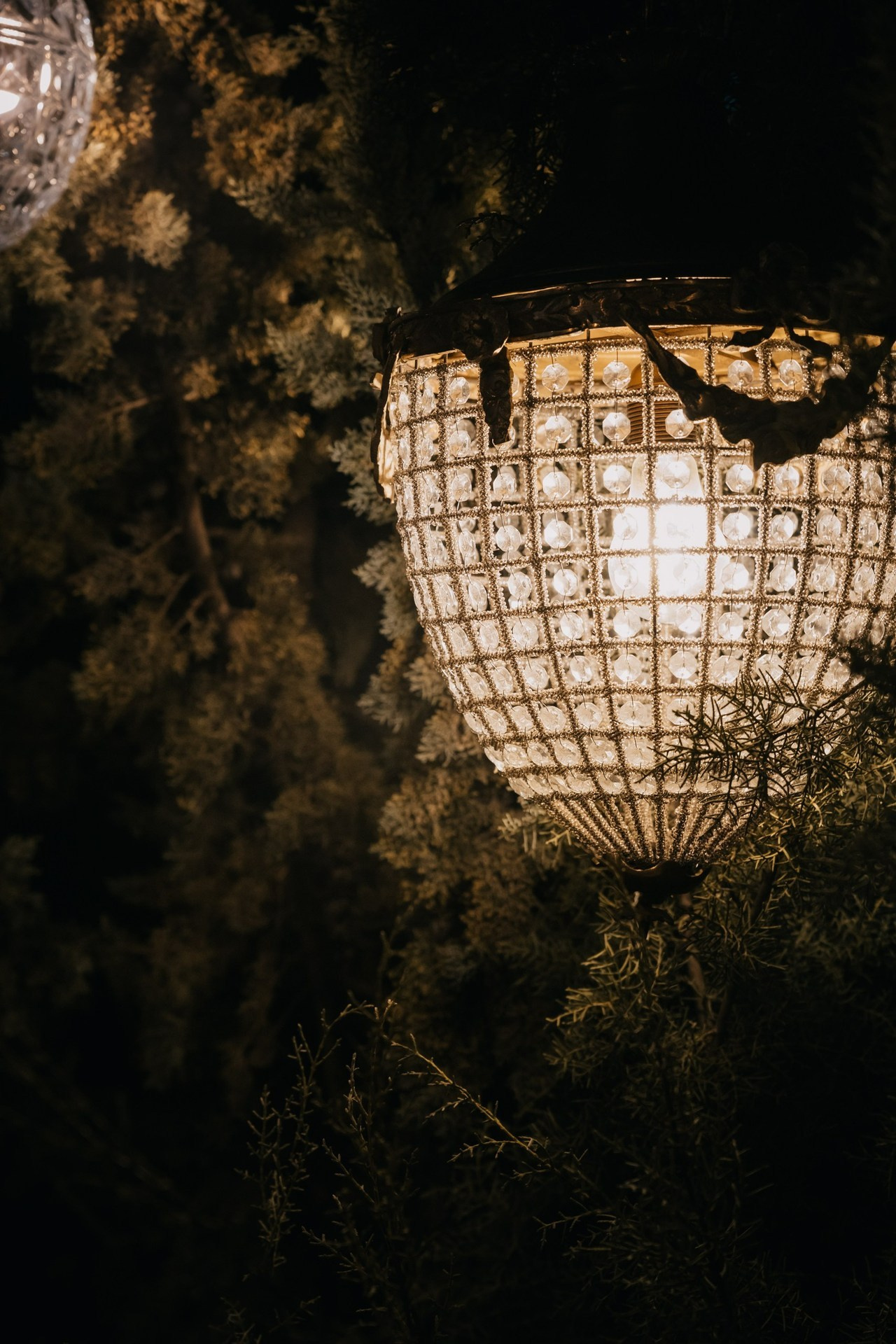 Отзывы. Документальный фотограф в Израиле Кристина Зингер