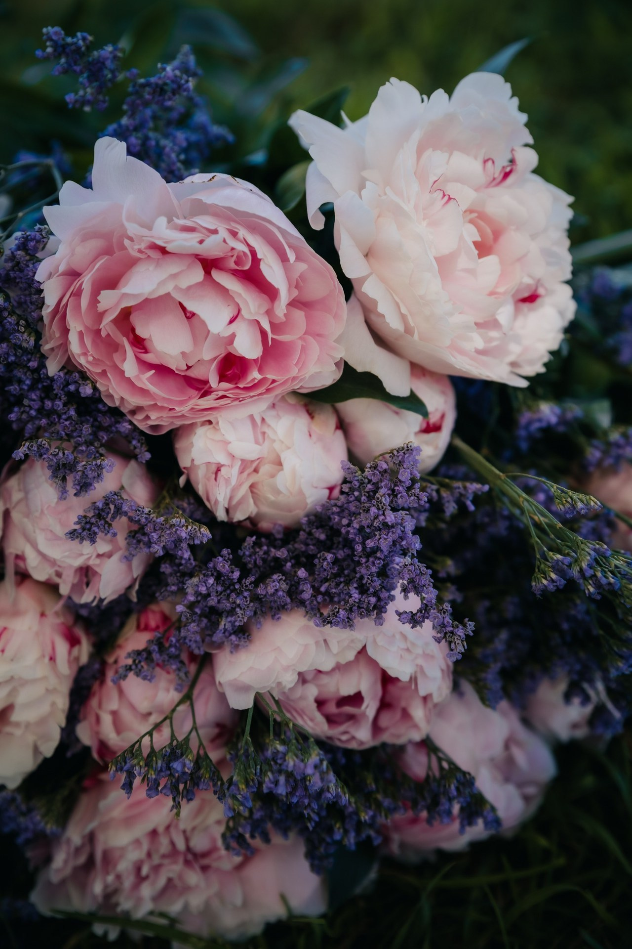 Отзывы. Документальный фотограф в Израиле Кристина Зингер