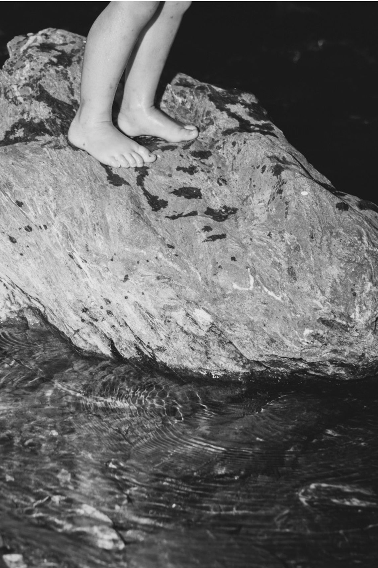 Olive deconstruction. Outdoor and art photographer. Alisa Lutchenkova