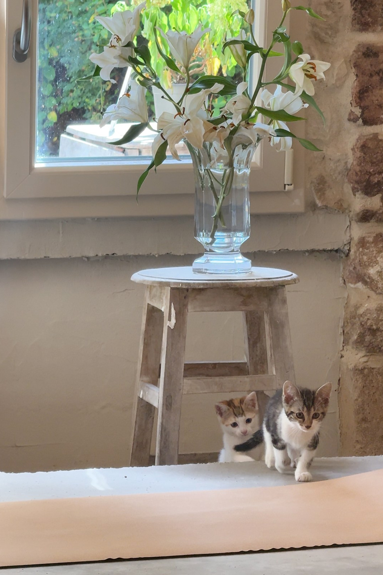 YOGOCIETY. Екатерина Матьё — профессиональный фотограф из города Осер Франция