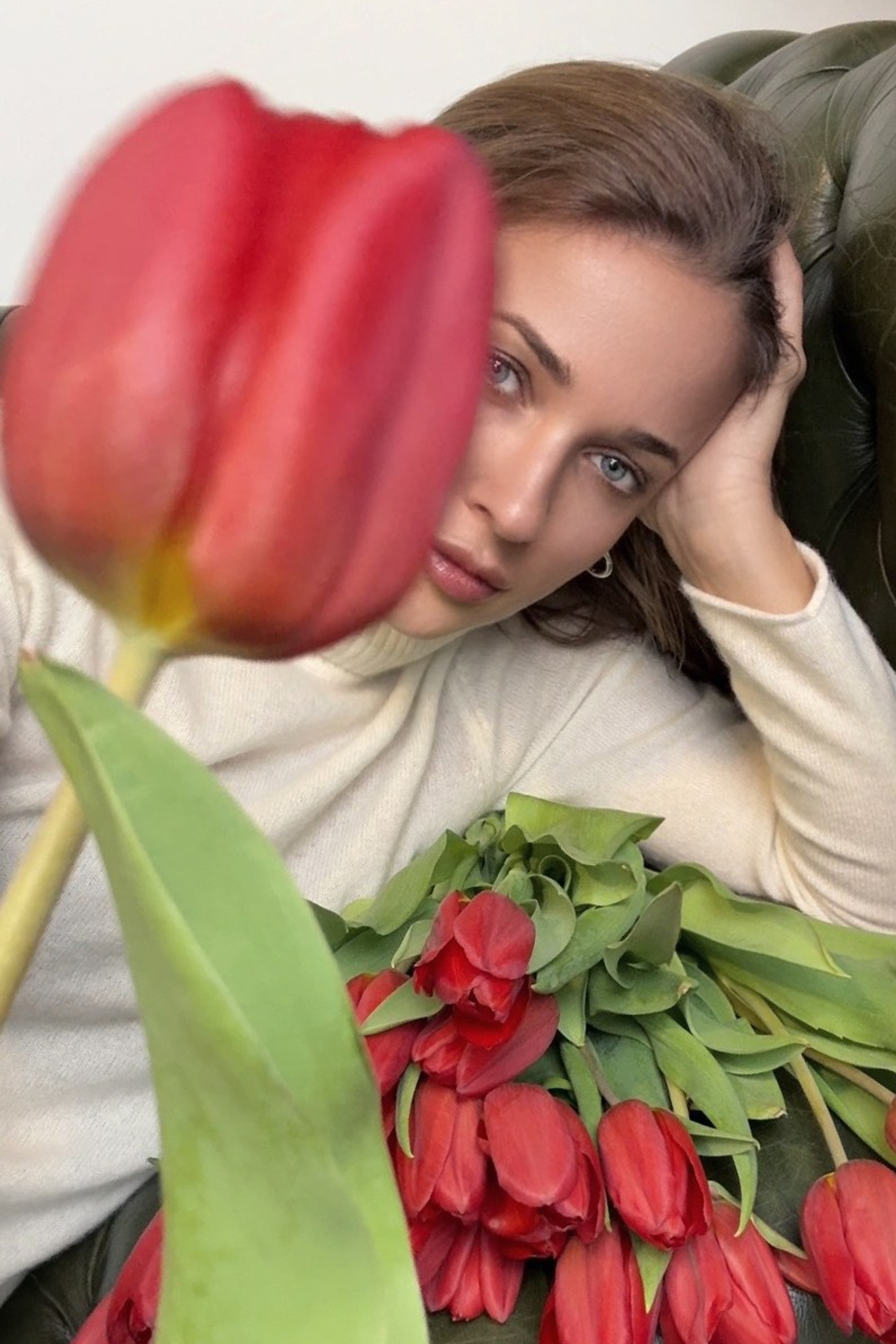 Tulipes. Photographe professionnelle de la ville d’Auxerre - Ekaterina Mathieu