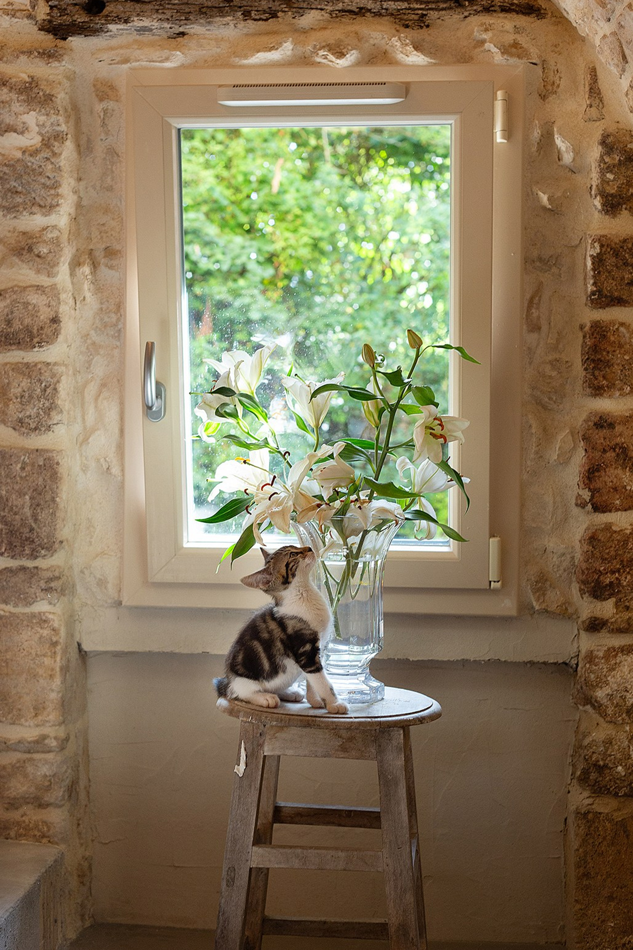 YOGOCIETY. Екатерина Матьё — профессиональный фотограф из города Осер Франция