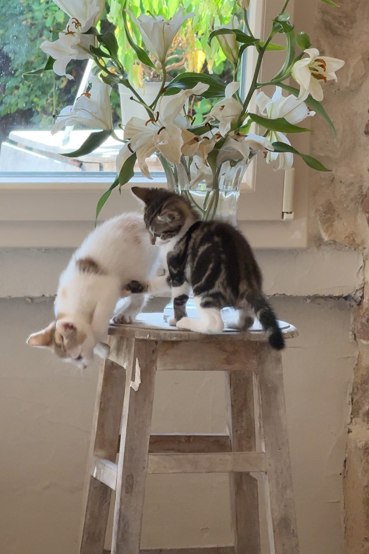 YOGOCIETY. Екатерина Матьё — профессиональный фотограф из города Осер Франция