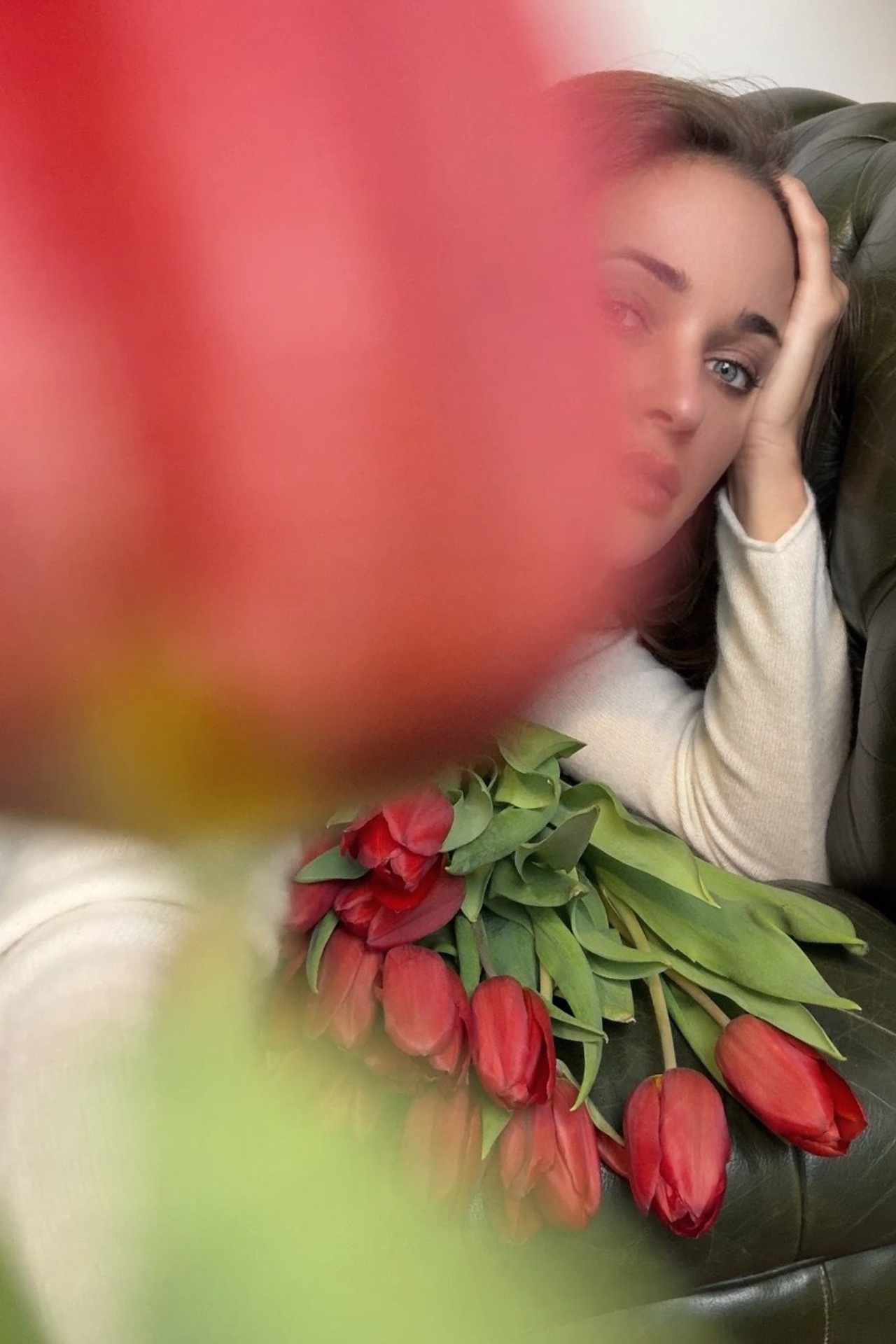 Tulipes. Photographe professionnelle de la ville d’Auxerre - Ekaterina Mathieu