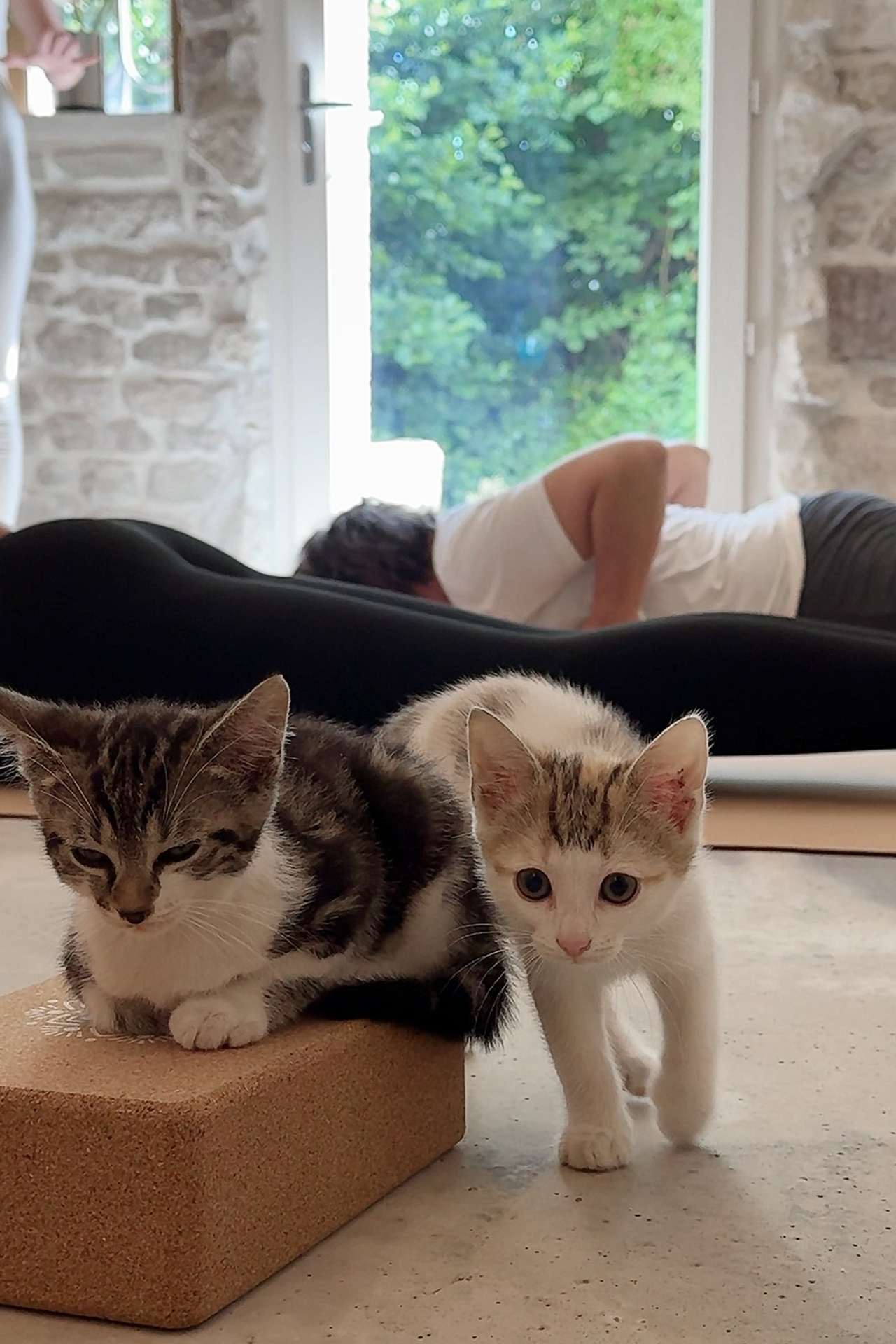 YOGOCIETY. Екатерина Матьё — профессиональный фотограф из города Осер Франция