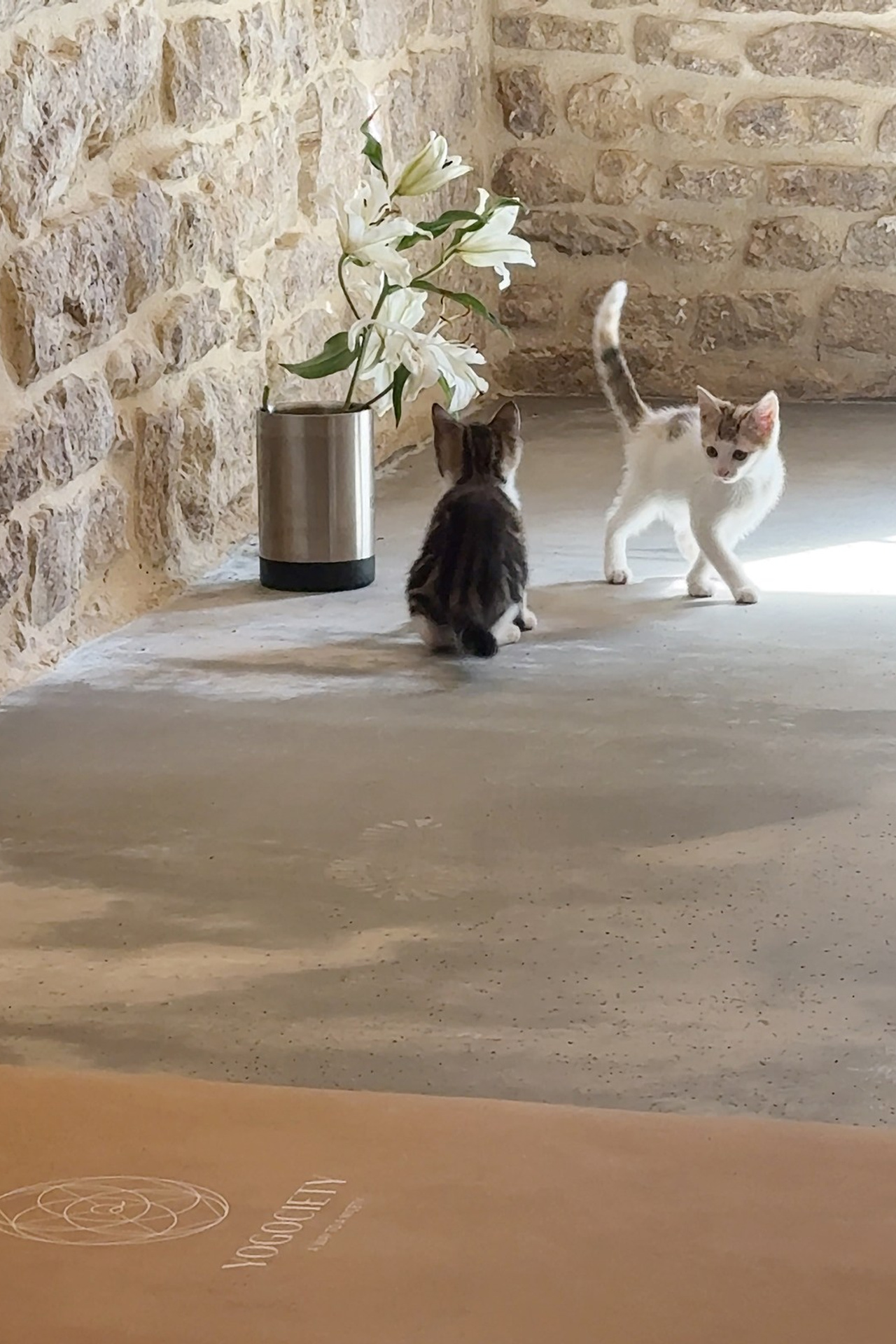 YOGOCIETY. Екатерина Матьё — профессиональный фотограф из города Осер Франция