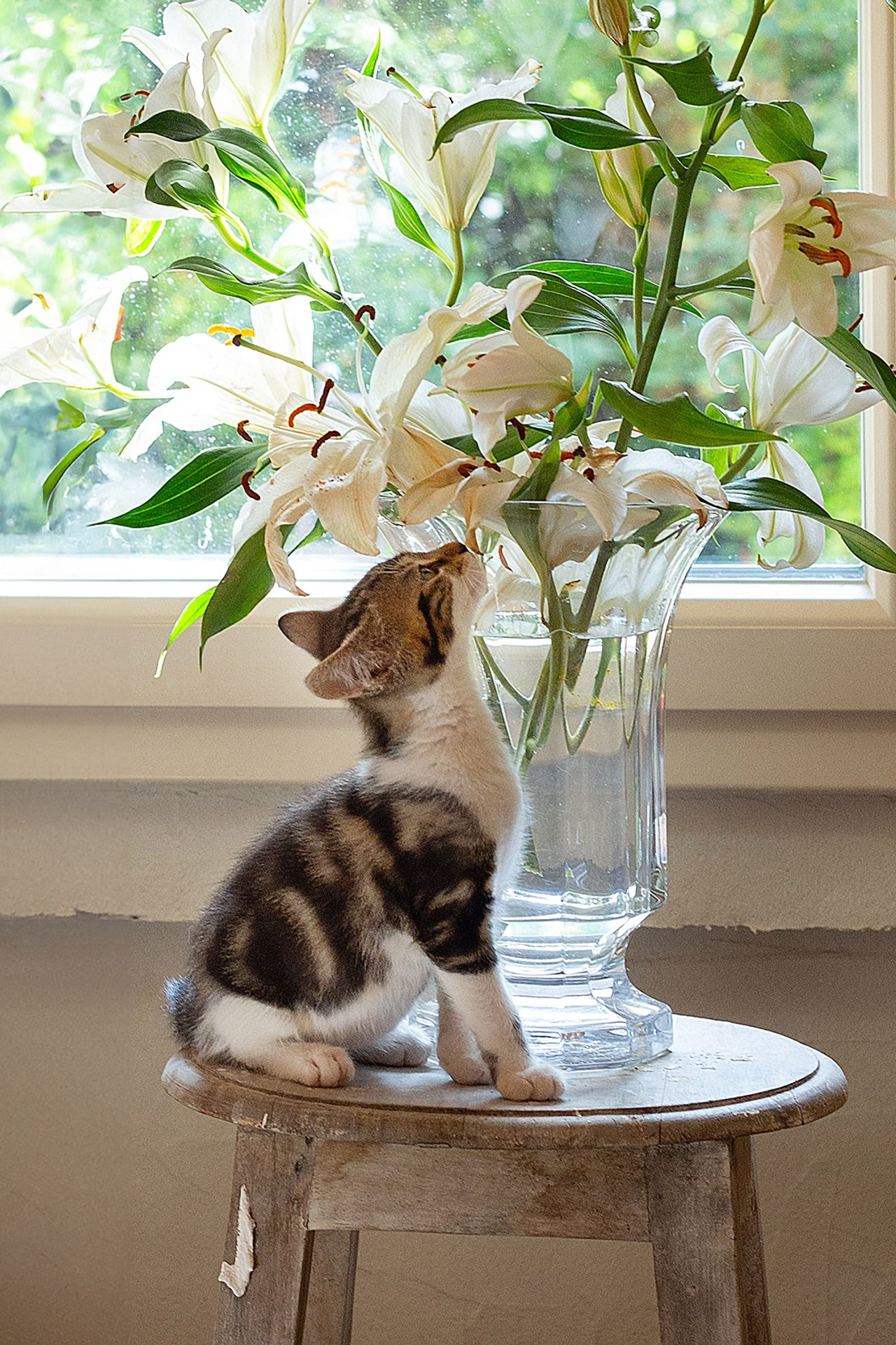 YOGOCIETY. Екатерина Матьё — профессиональный фотограф из города Осер Франция