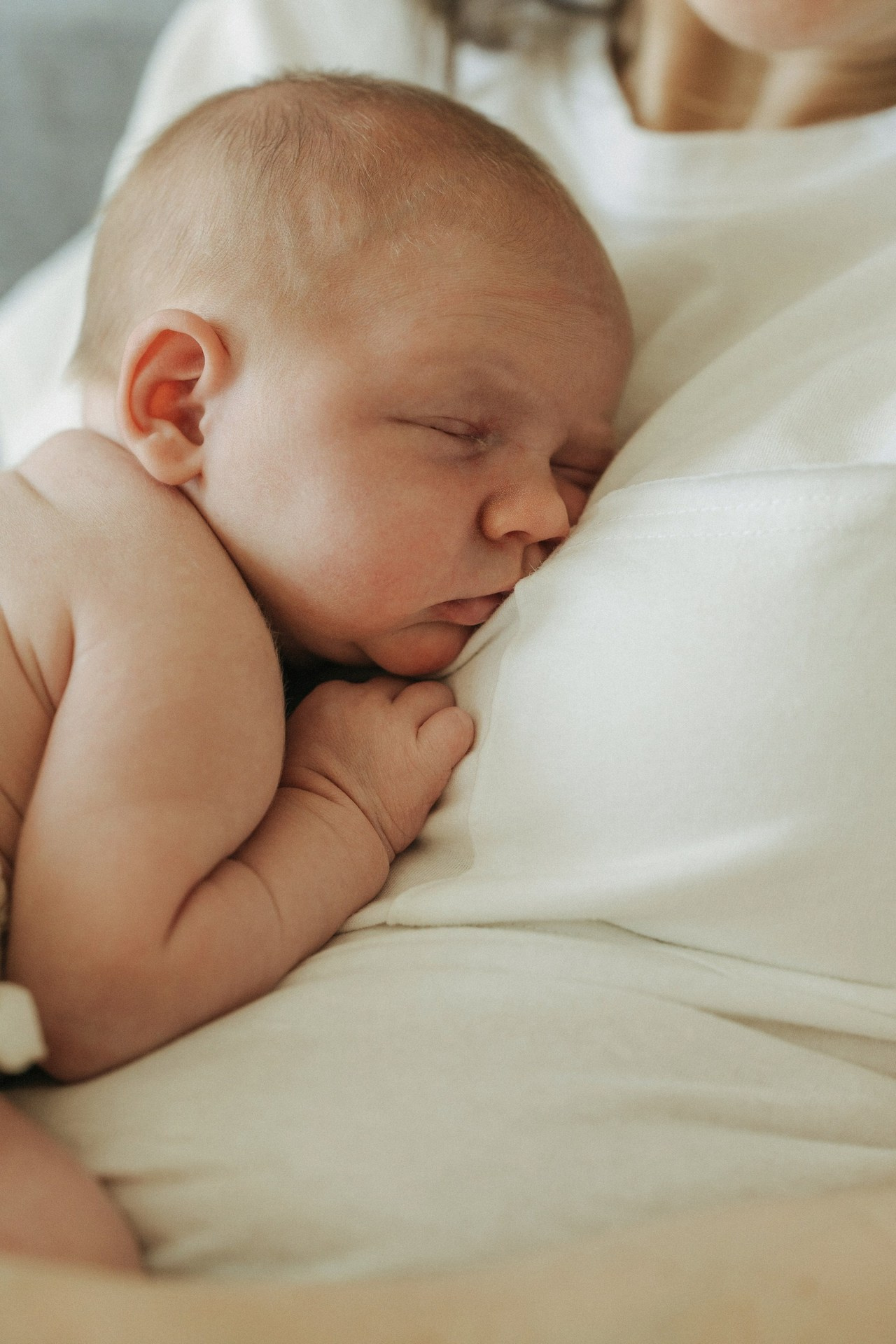 Client Reviews – Family & Event Photography Testimonials. Alisa Tant — Family and newborn photographer Bucks County, Montgomery county, Philadelphia, NJ