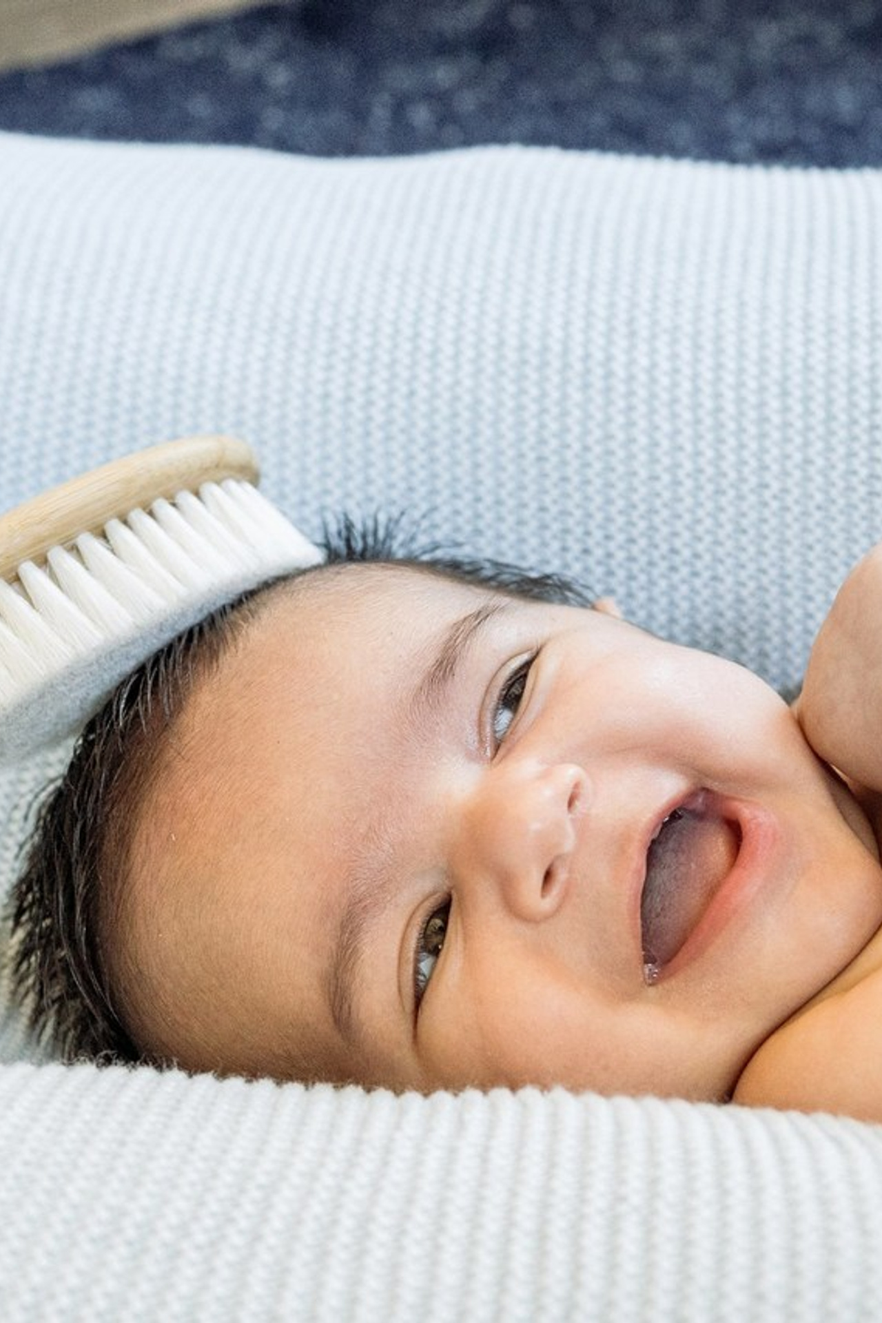 Client Reviews – Family & Event Photography Testimonials. Alisa Tant — Family and newborn photographer Bucks County, Montgomery county, Philadelphia, NJ