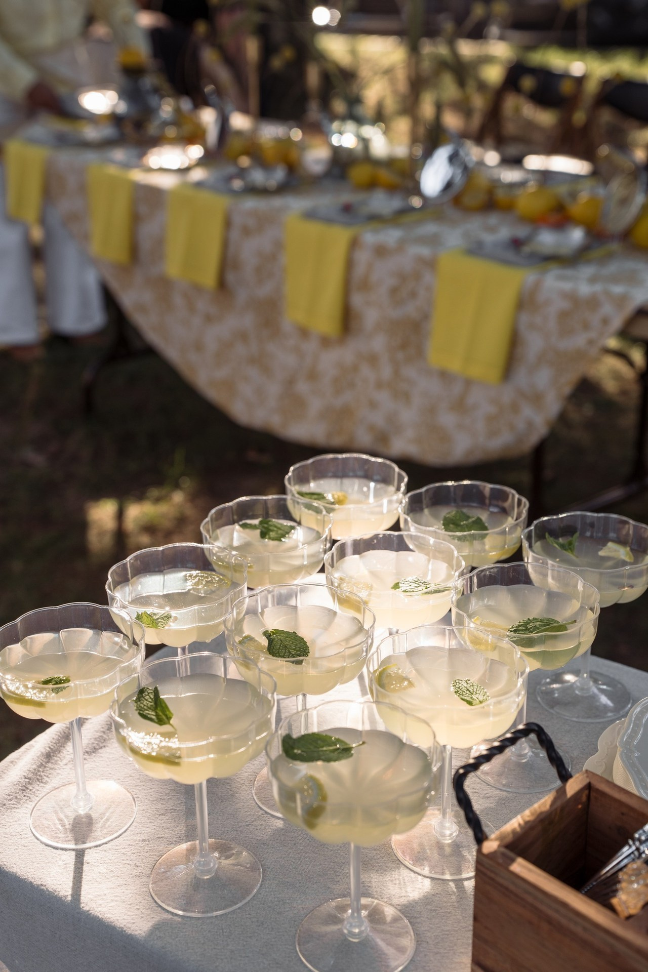 Client Reviews – Family & Event Photography Testimonials. Alisa Tant — Family and newborn photographer Bucks County, Montgomery county, Philadelphia, NJ