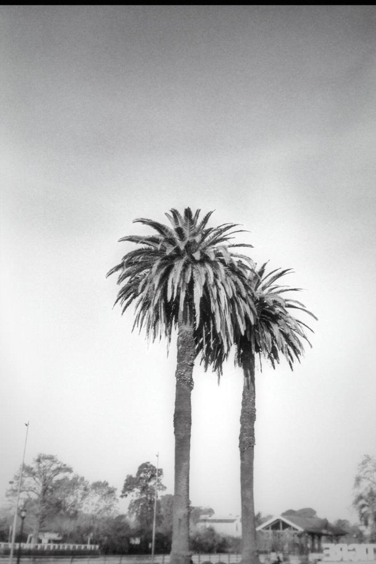 Argentina and me. Portrait photographer in Argentina