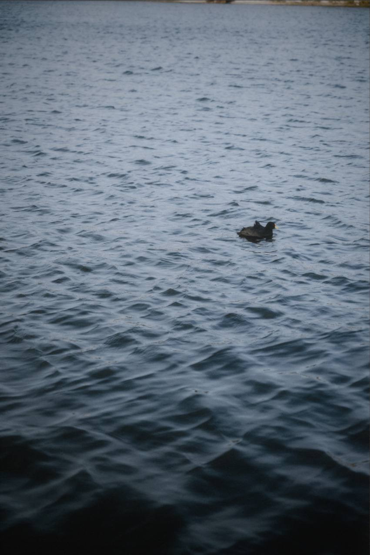 Argentina and me. Portrait photographer in Argentina