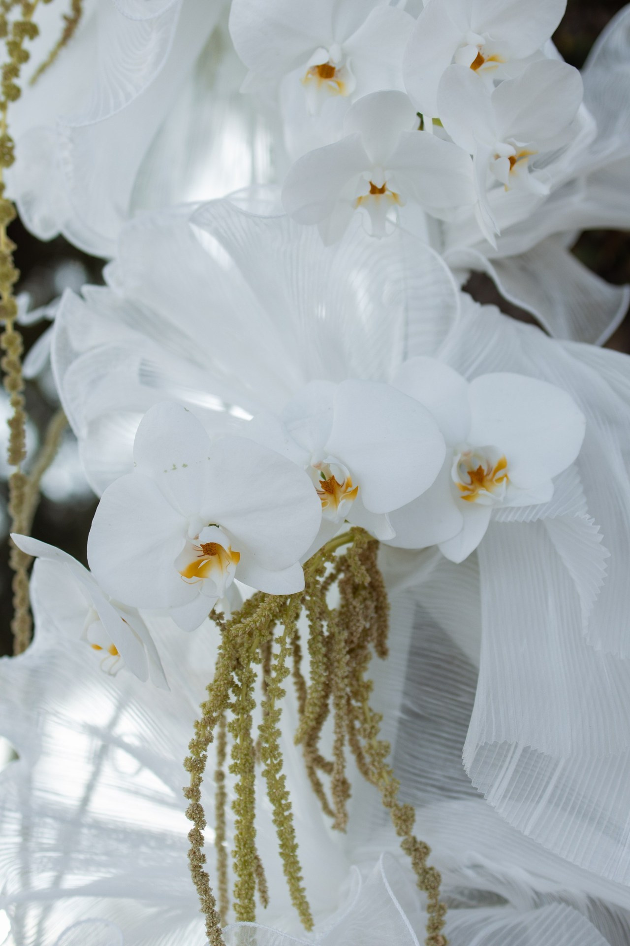 Отзывы. Фотограф в Турции | Алания, Сиде, Белек, Анталия, Кемер)