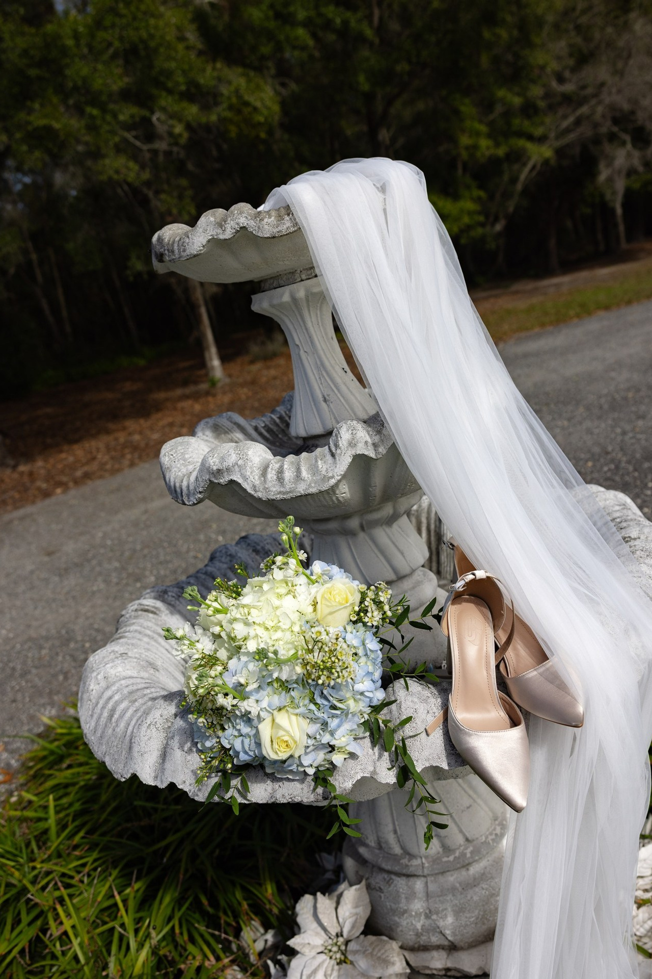 Testimonials. Photographer Anastasia Nagibina