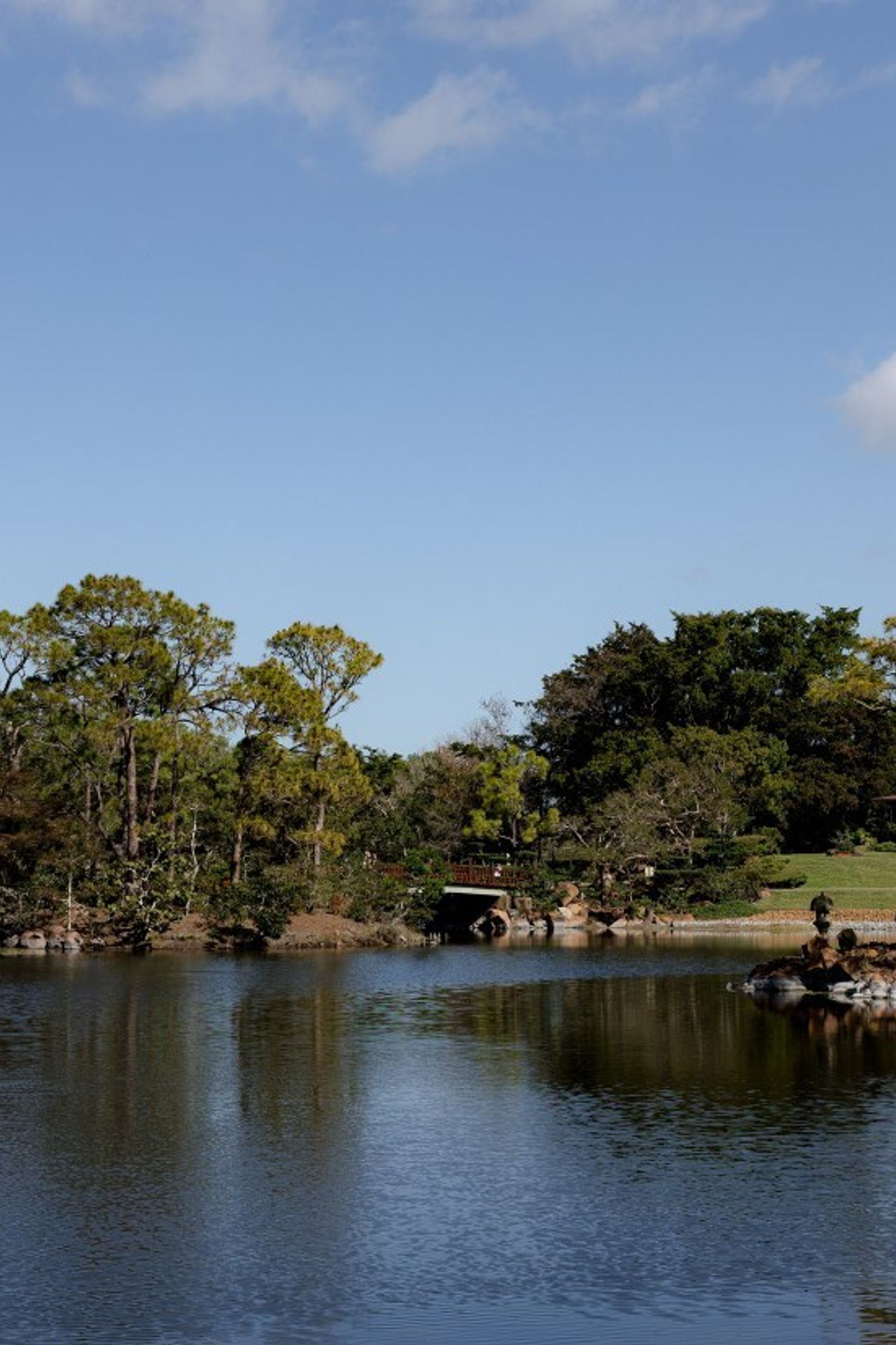 Testimonials. Photographer Anastasia Nagibina