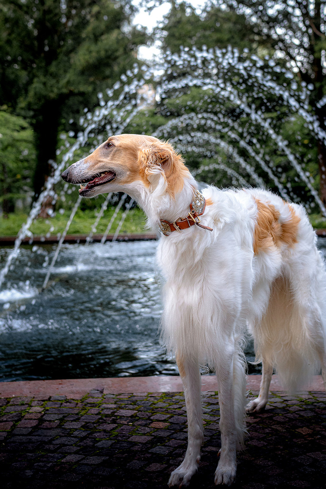 Geschichte. LUKIN IGOR Photography