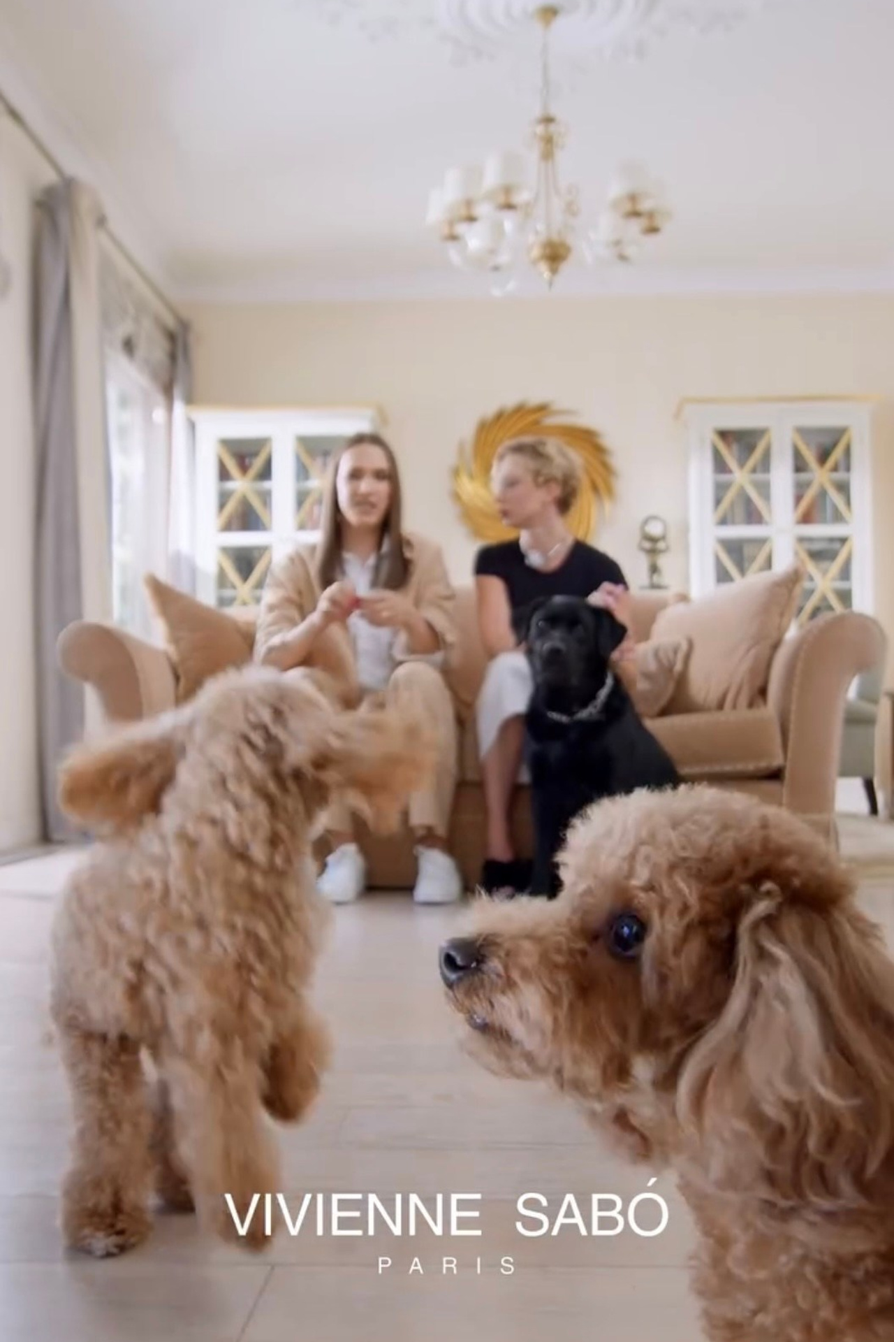 Vivienne Sabo x @zhidkovskiy