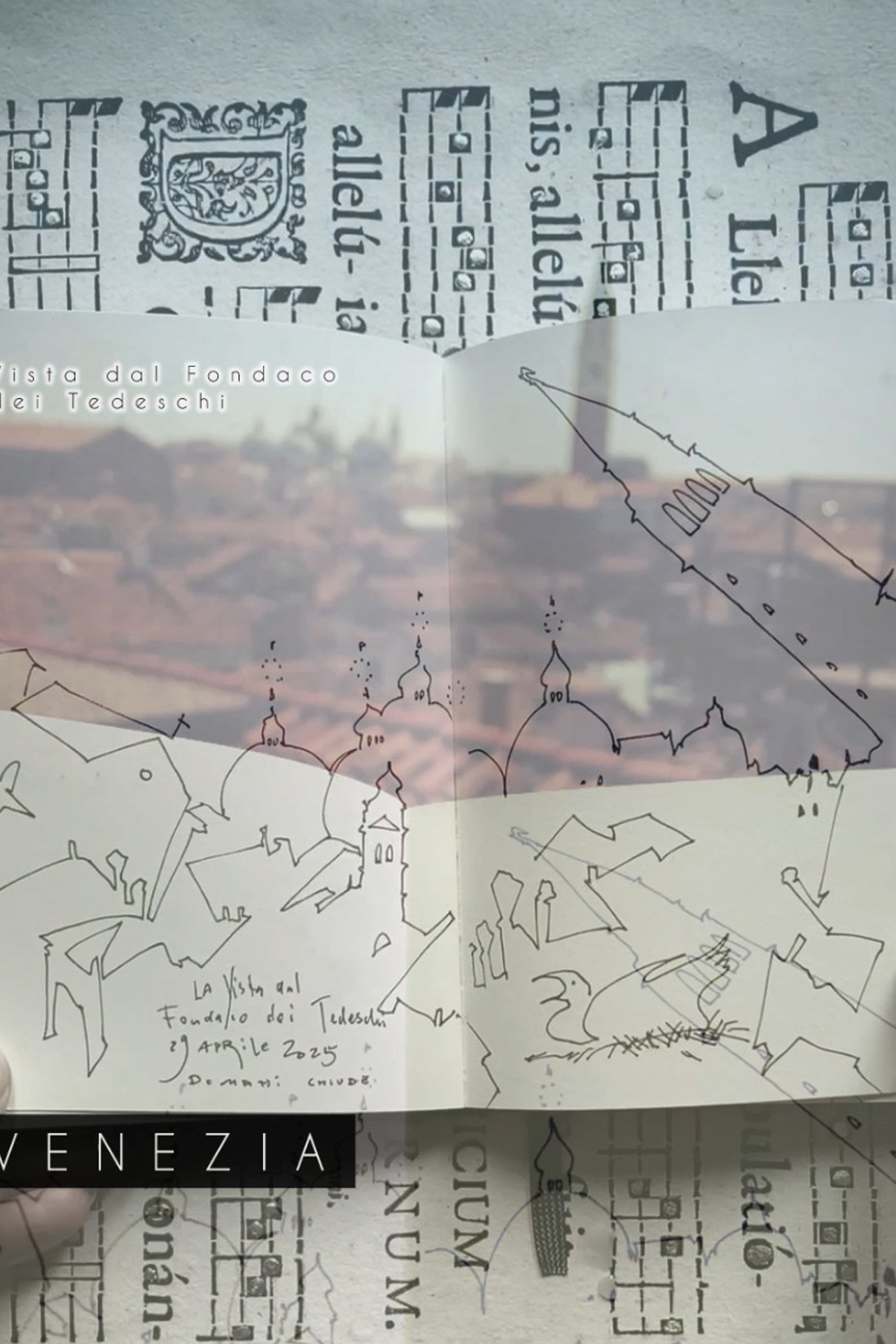 Drawing Modigliani in Padua. Nadia Kuprina. Artist