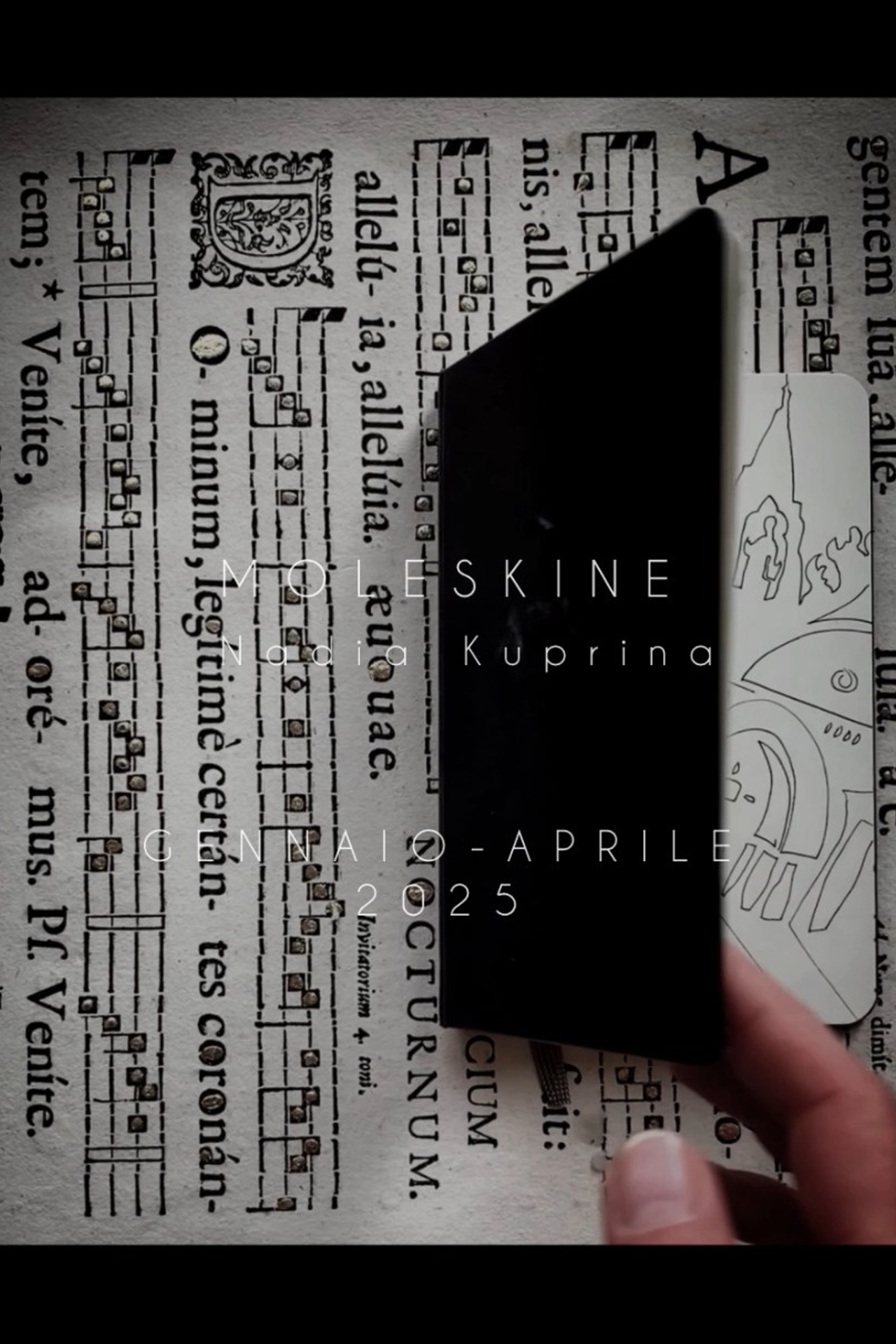 Drawing Modigliani in Padua. Nadia Kuprina. Artist