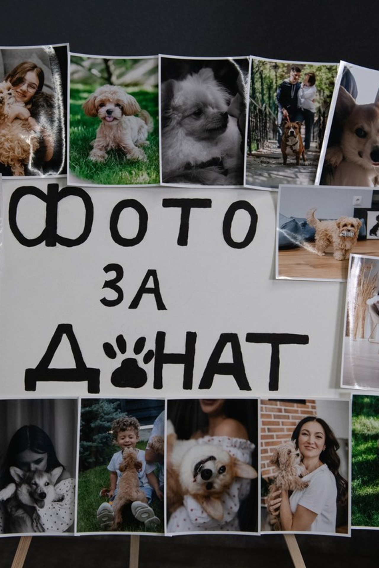 Відгуки. Репортажний та сімейний фотограф Дар’я Хорошавцева