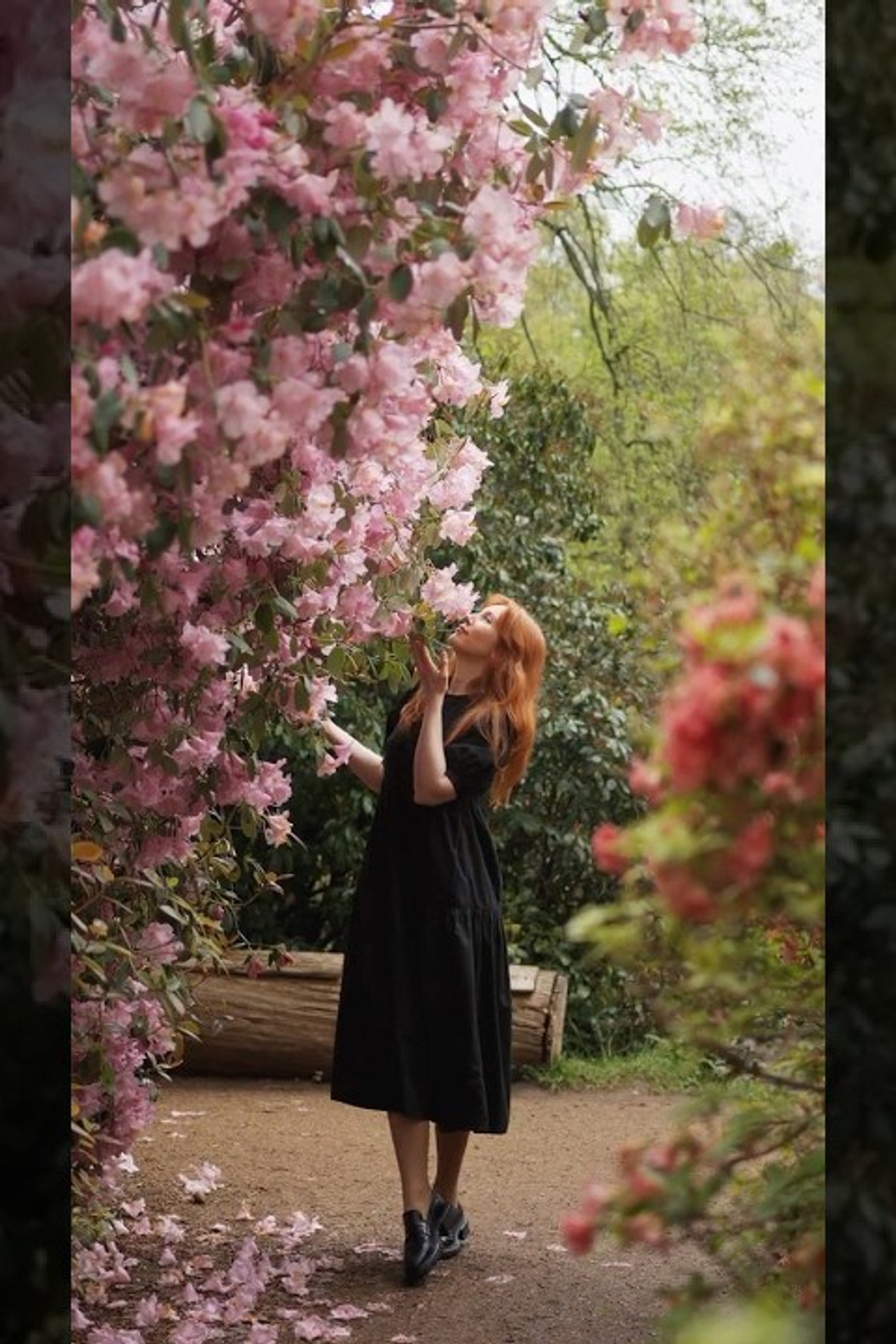 Videos. Photographer in London Daria Agafonova