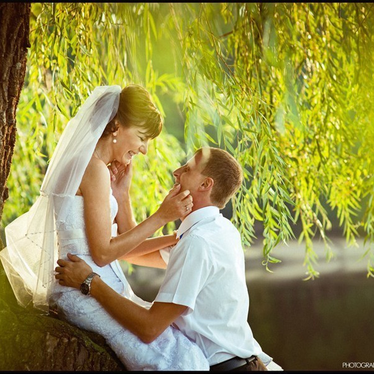 Reviews. Elegant Wedding Photography