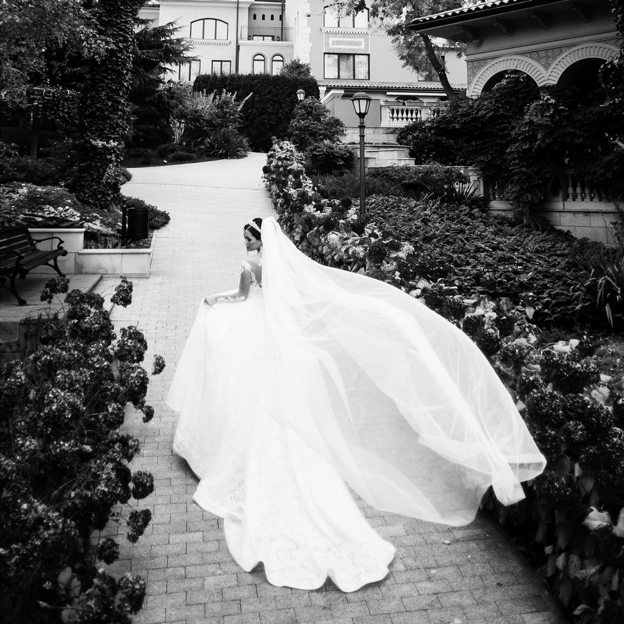 Reviews. Elegant Wedding Photography
