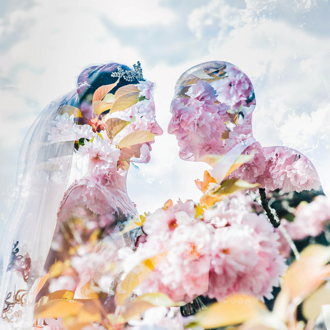 Reviews. Elegant Wedding Photography