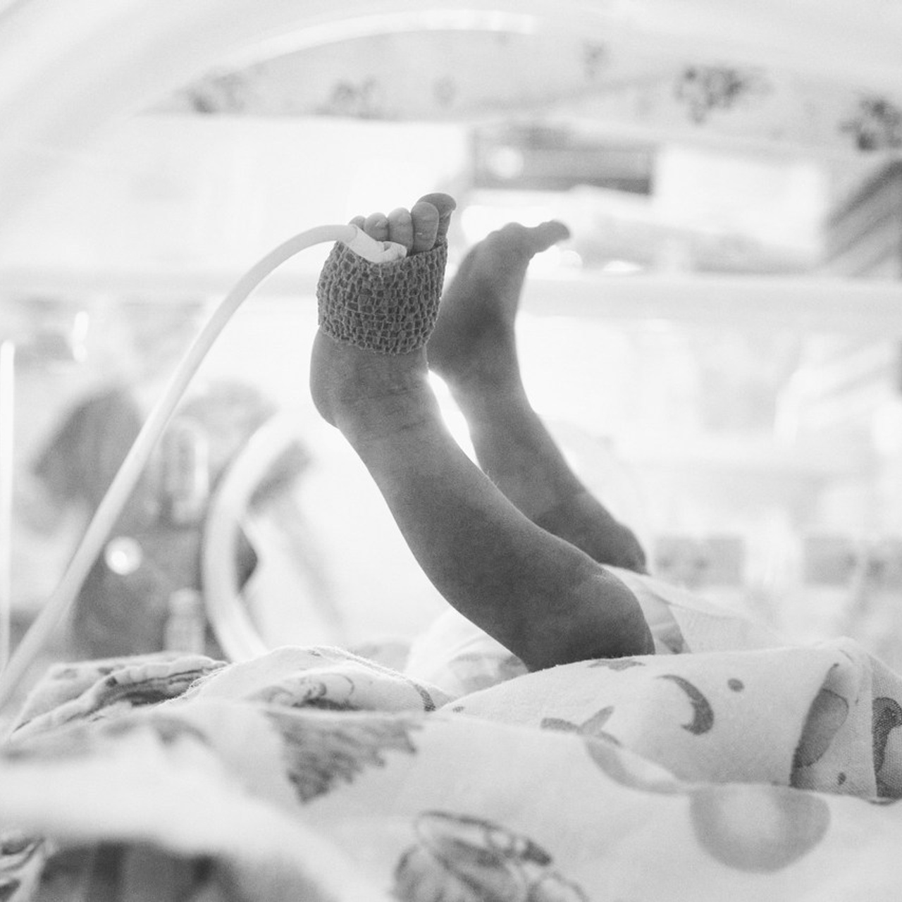 ВІДГУКИ. Photographer Lena Mudryk