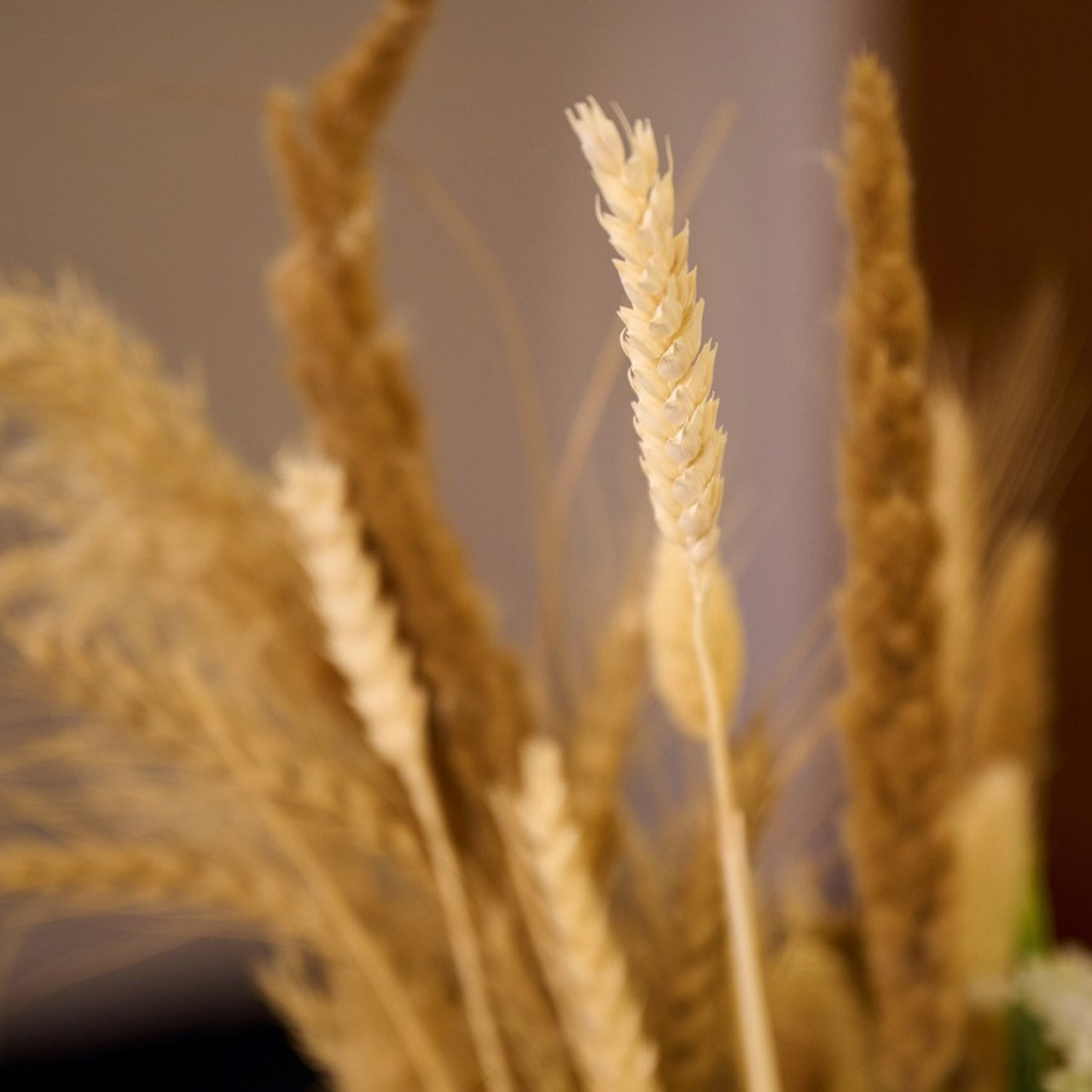 Свадебный фотограф. Свадебный фотограф в Одессе