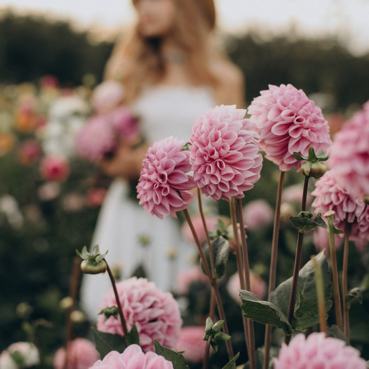 Відгуки. Сімейний, дитячий та індивідуальний фотограф в м. Тернопіль, м. Львів