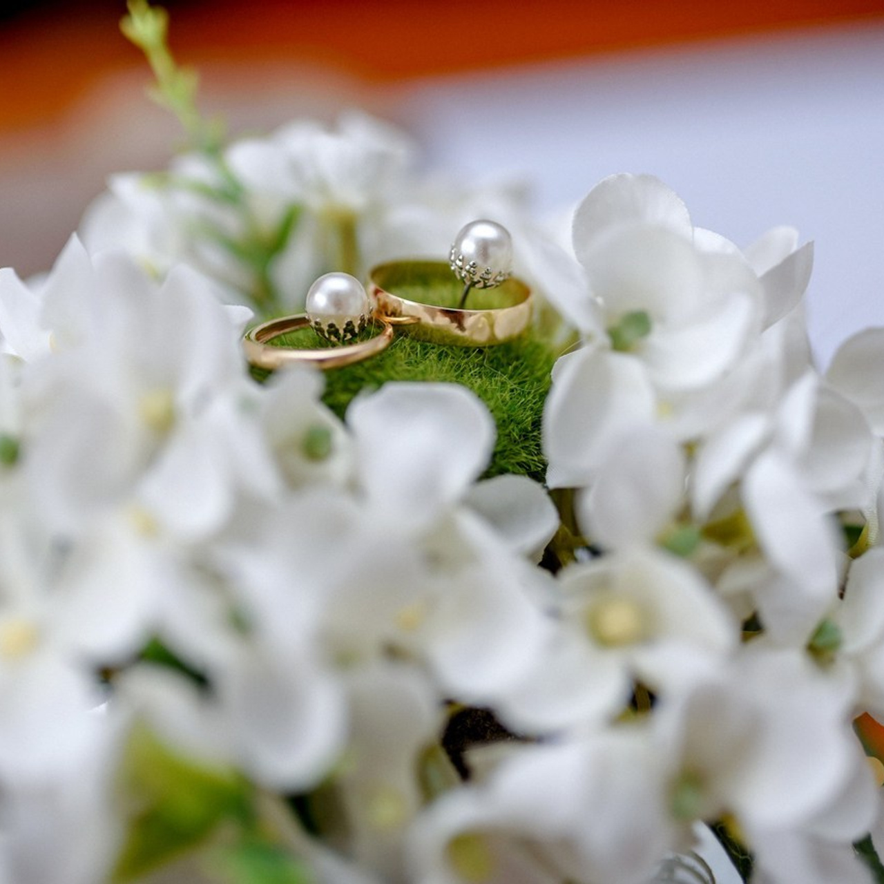 Reviews. Wedding and family photographer