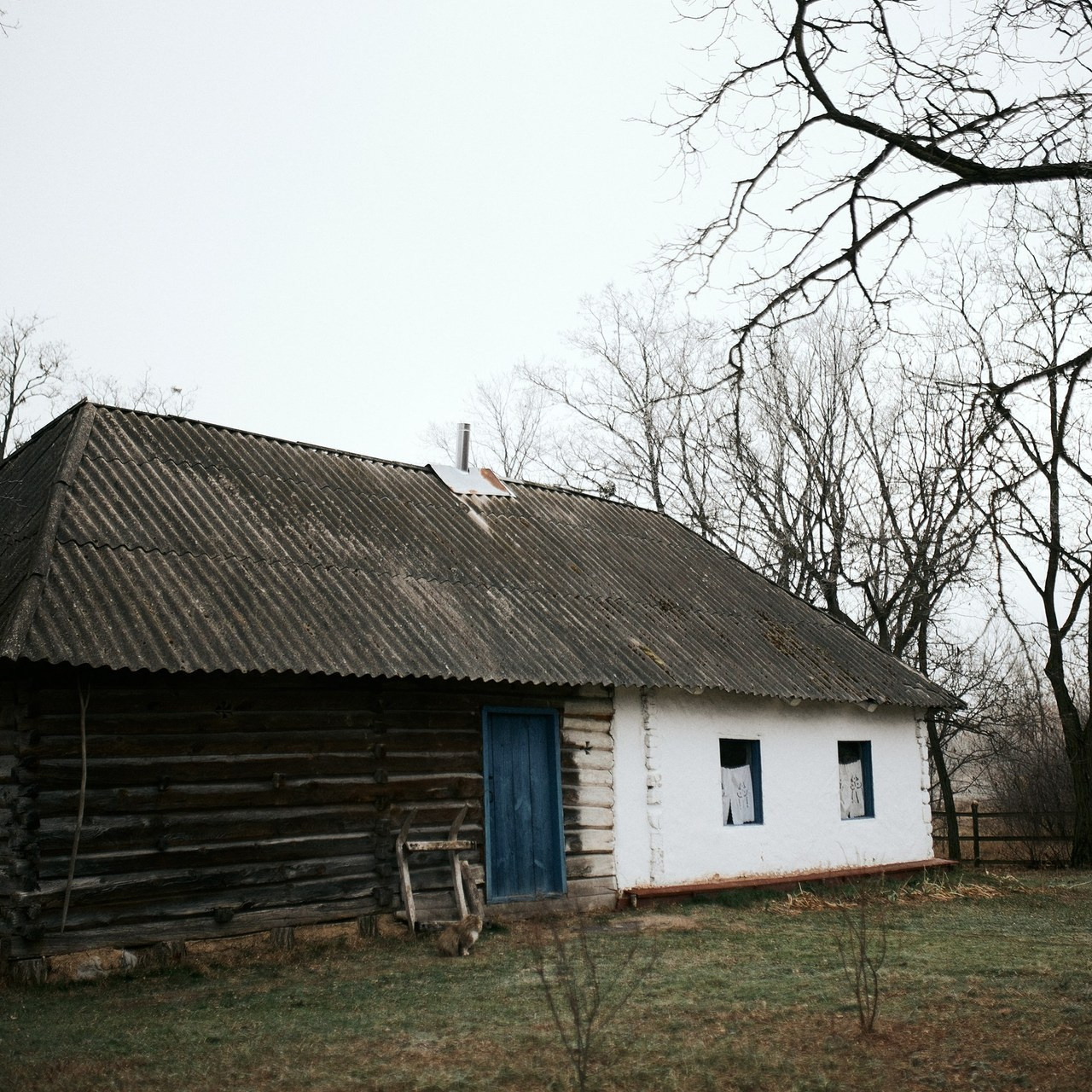 Відгуки. Сімейний фотограф в Києві