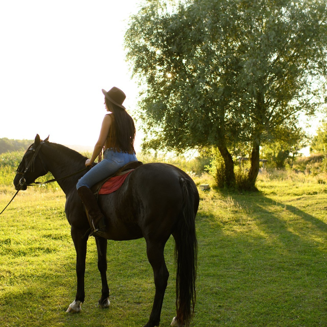 Отзывы. Фотограф Ольга Абашидзе