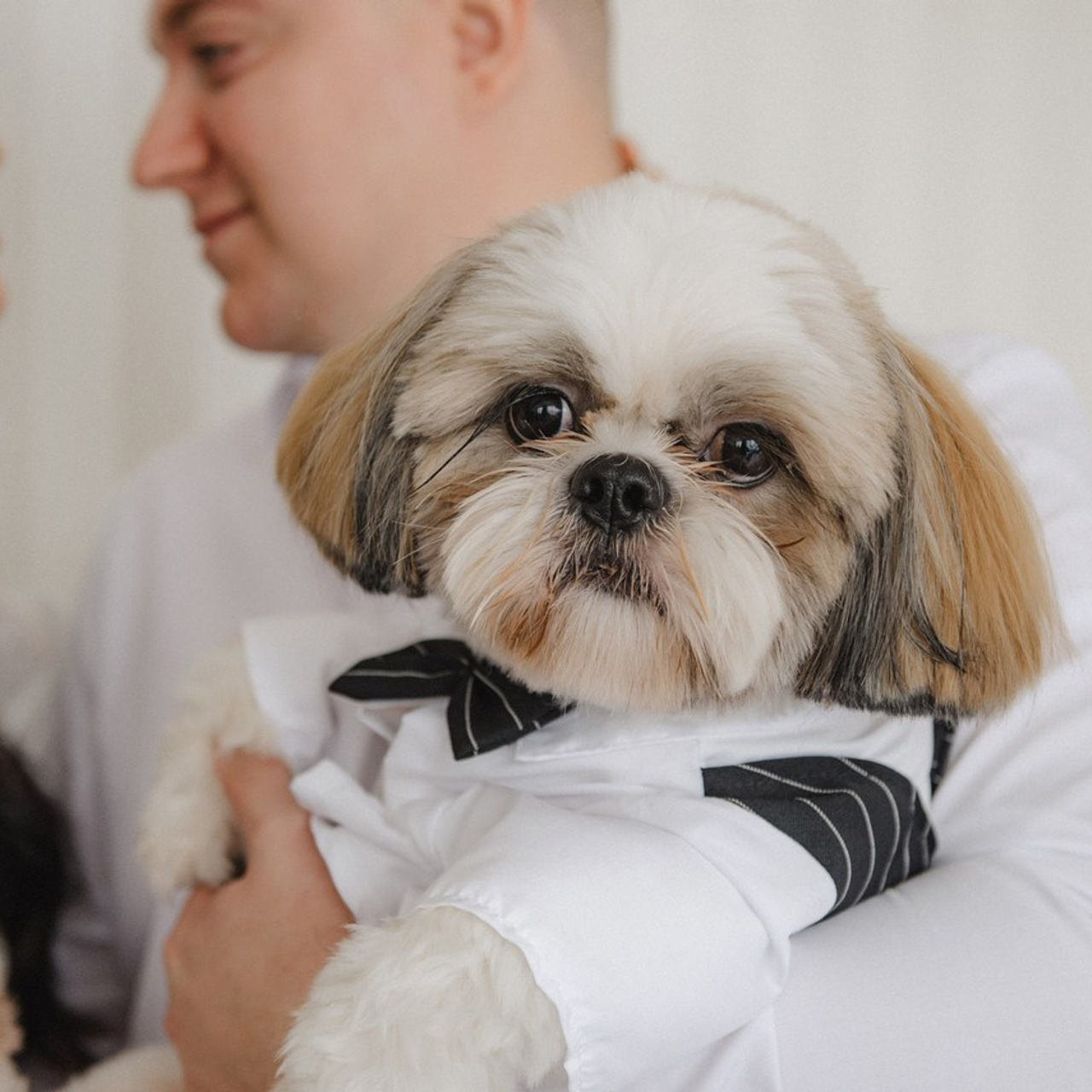 Feedback. Semashko Photography — весільні та сімейні фотографи