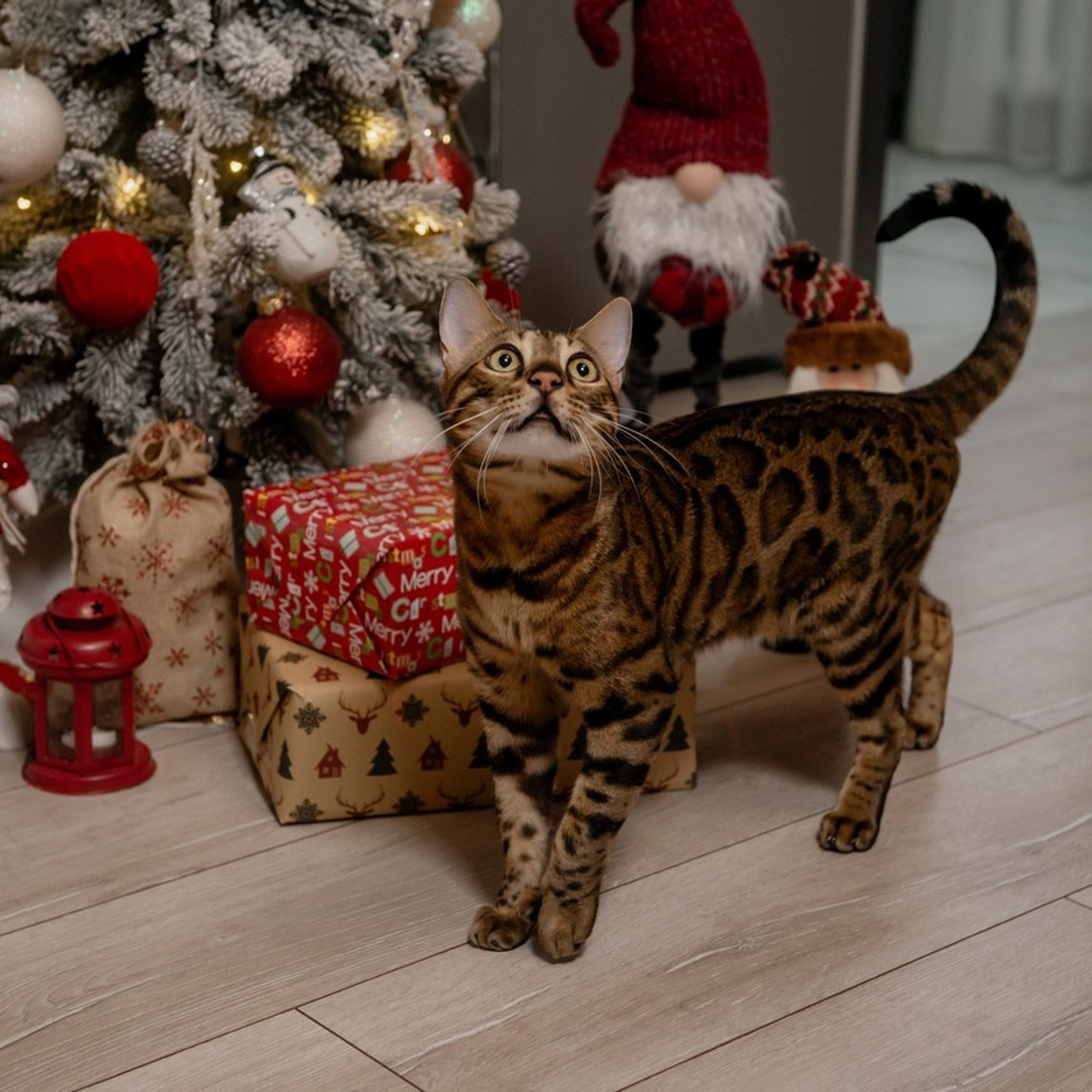 Feedback. Semashko Photography — весільні та сімейні фотографи