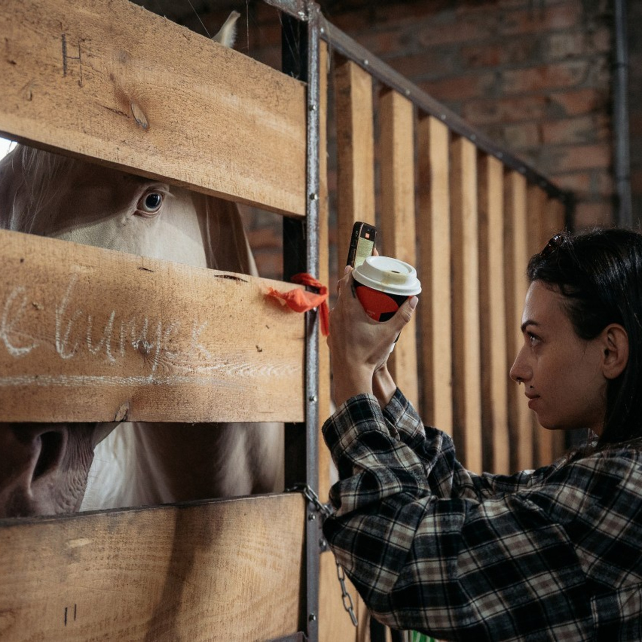Відгуки. Весільний фотограф Цимбалюк Микола Луцьк