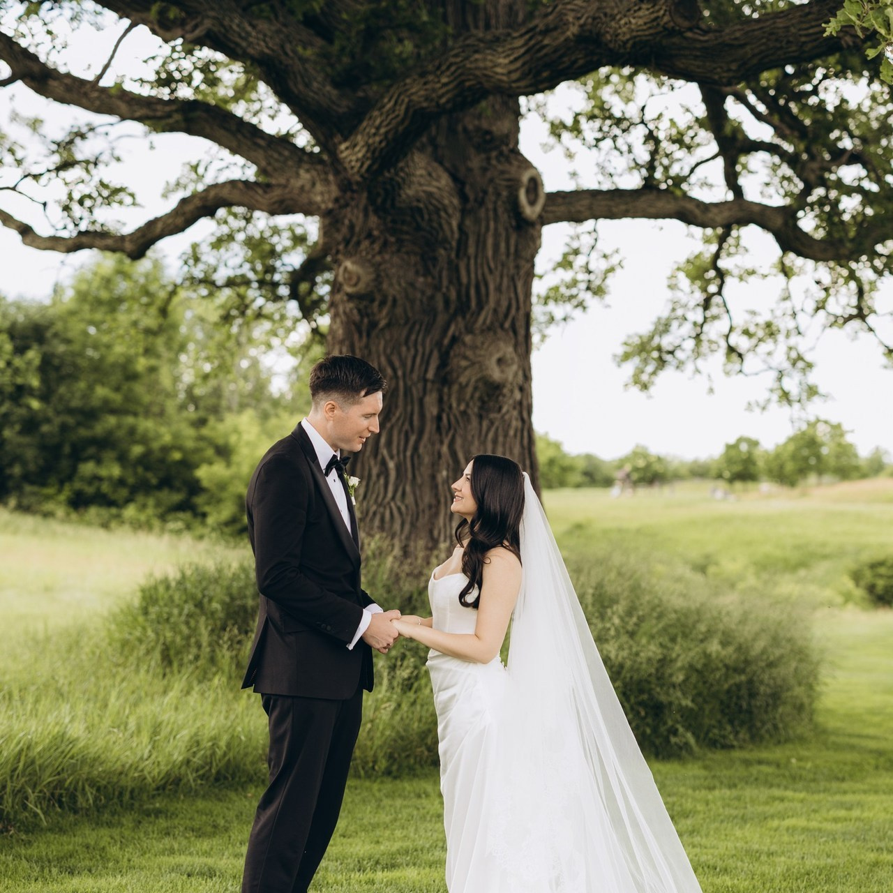 Reviews. Wedding Photographer Toronto