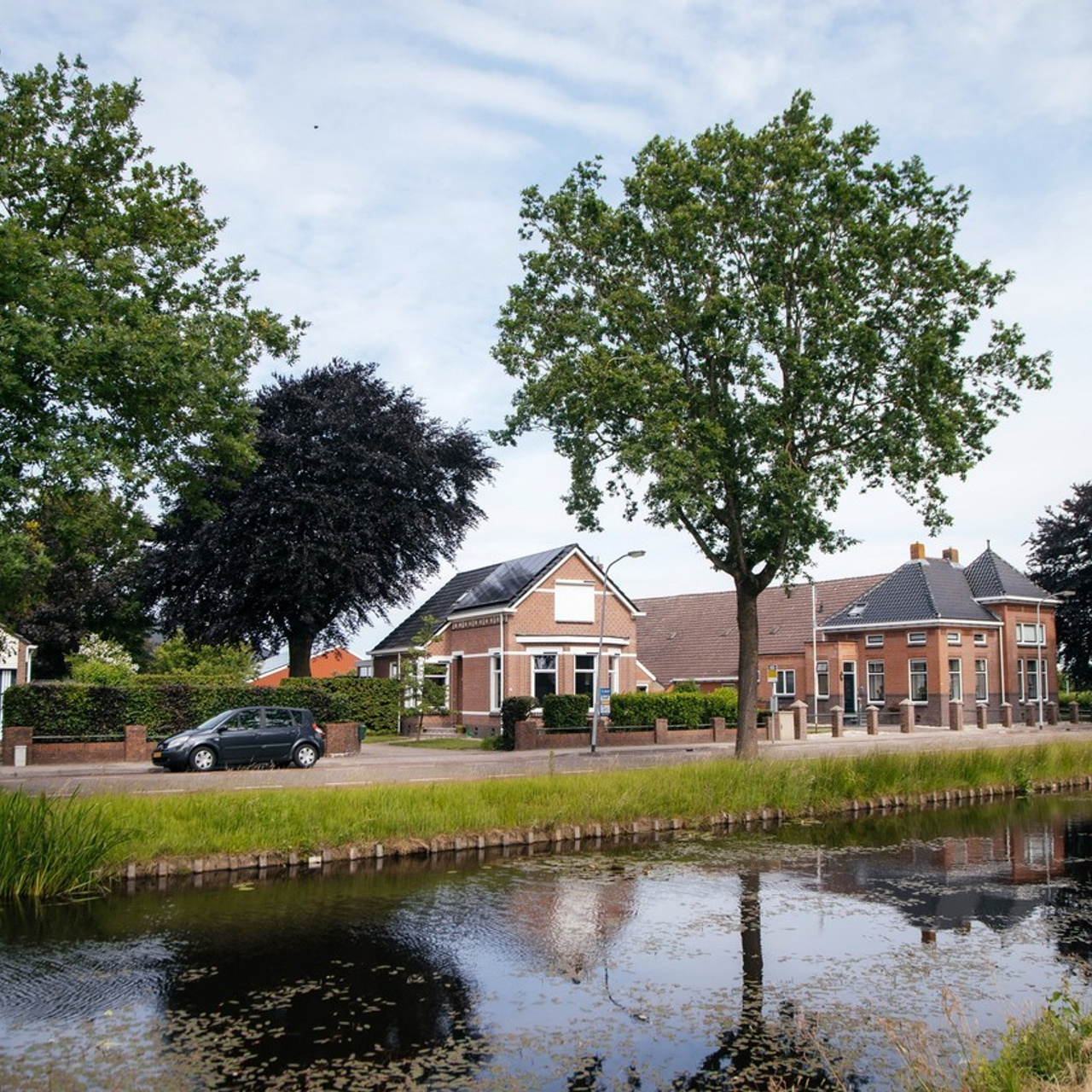 Comments. Photographer Andrey Nekrasov